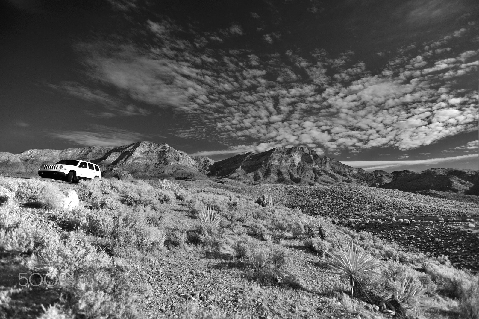 Nikon D3X sample photo. Jeep photography