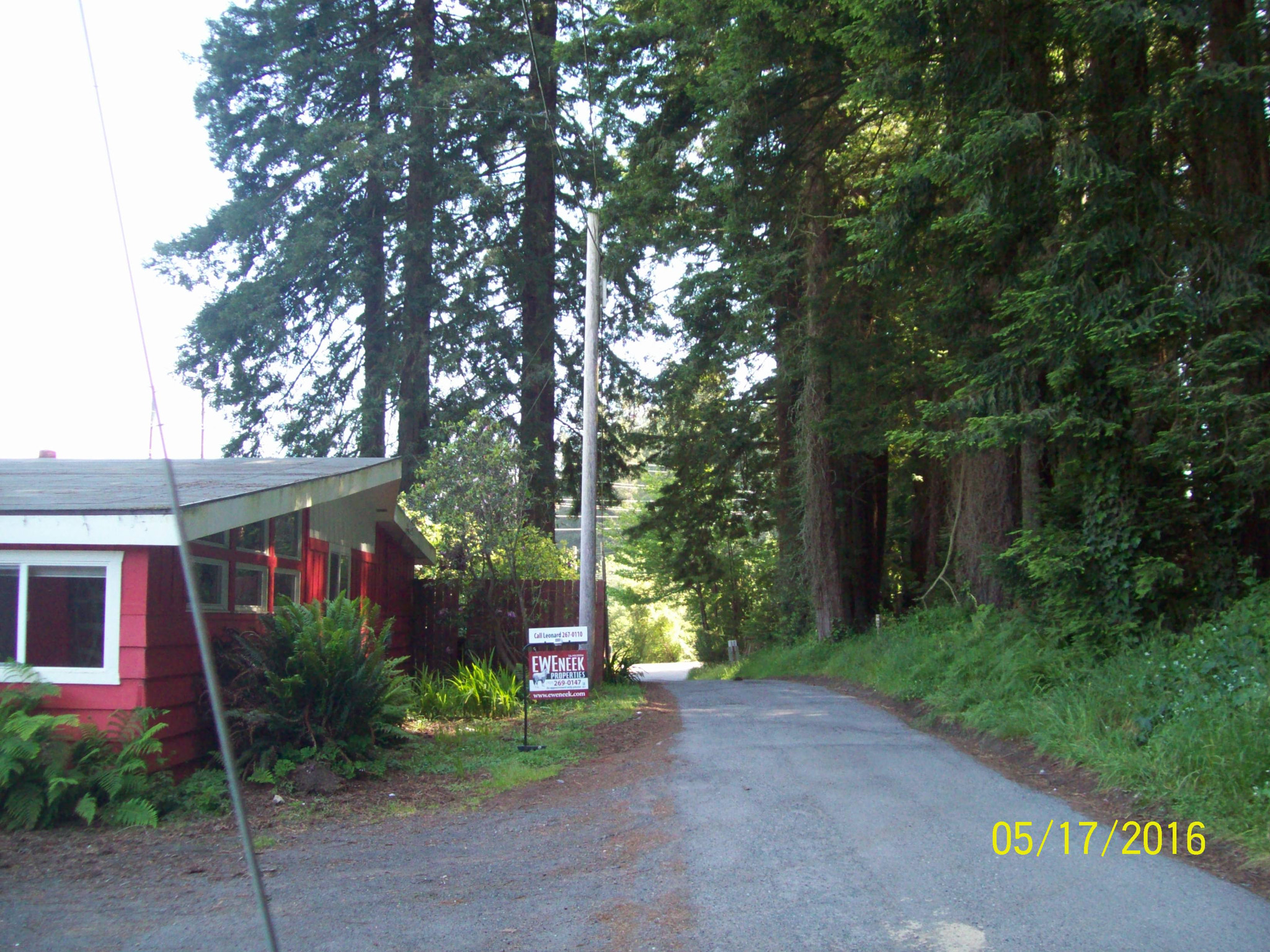 Kodak EASYSHARE C813 ZOOM DIGITAL CAMERA sample photo. House in da woods photography