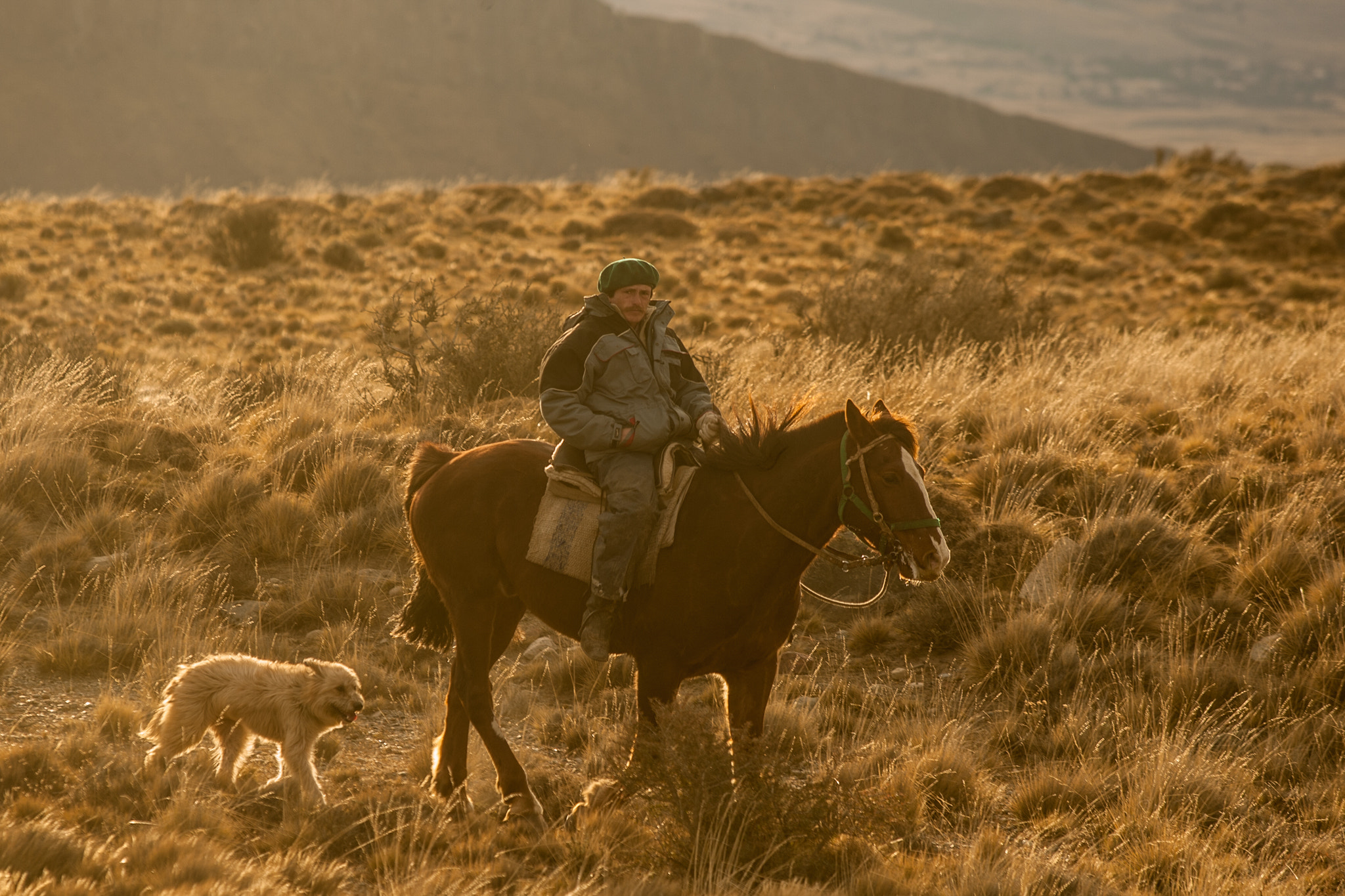 Canon EOS-1D Mark III + Canon EF 70-200mm F2.8L USM sample photo. Gaucho patagónico photography