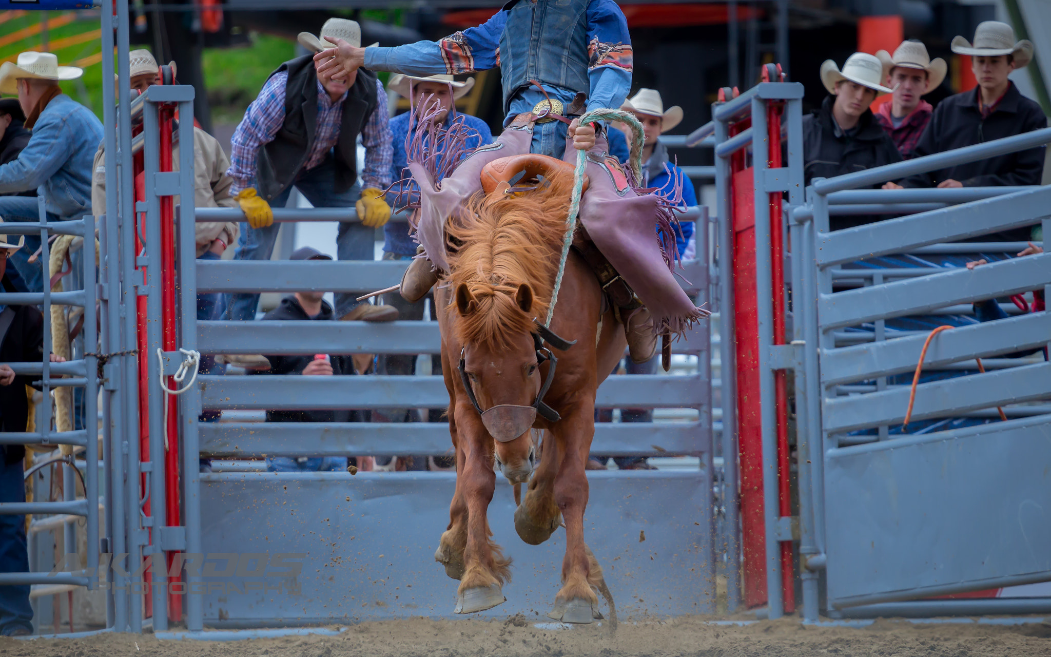 Canon EOS 700D (EOS Rebel T5i / EOS Kiss X7i) + Canon EF 70-200mm F4L USM sample photo. Wild horse - rodéo fest de val saint-côme 2016 photography