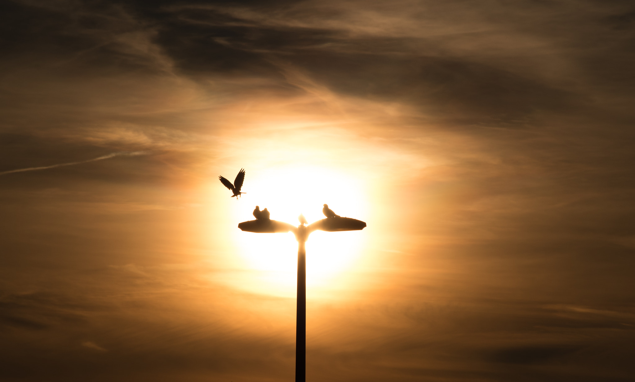 smc Pentax-DA L 50-200mm F4-5.6 ED WR sample photo. Lampost photography