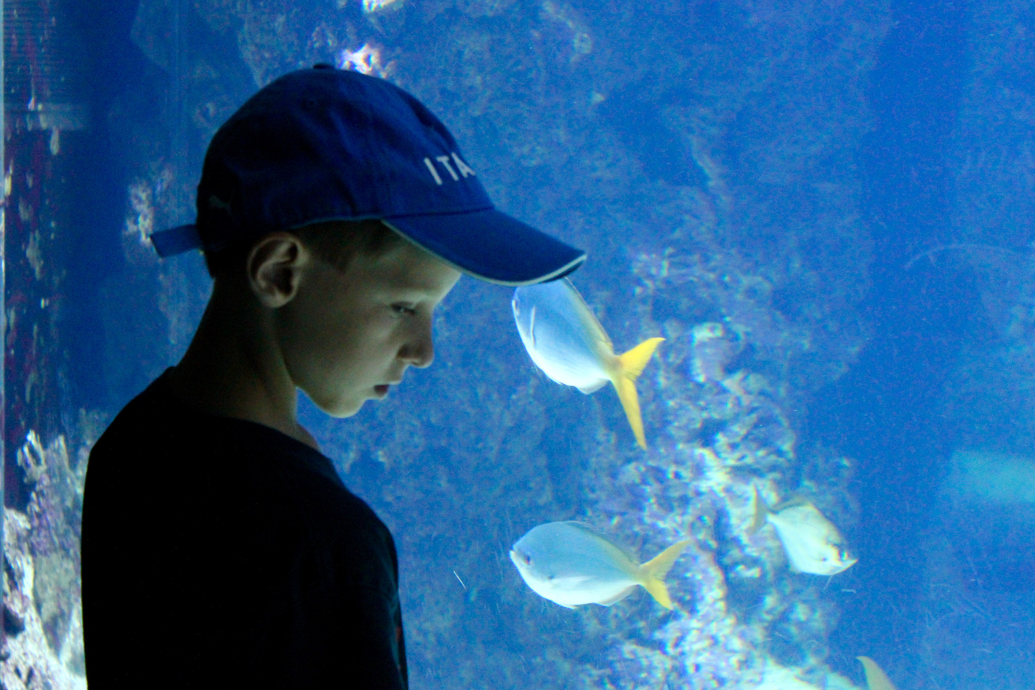Canon EF-S 18-55mm F3.5-5.6 IS II sample photo. Musee oceanographique de monaco photography