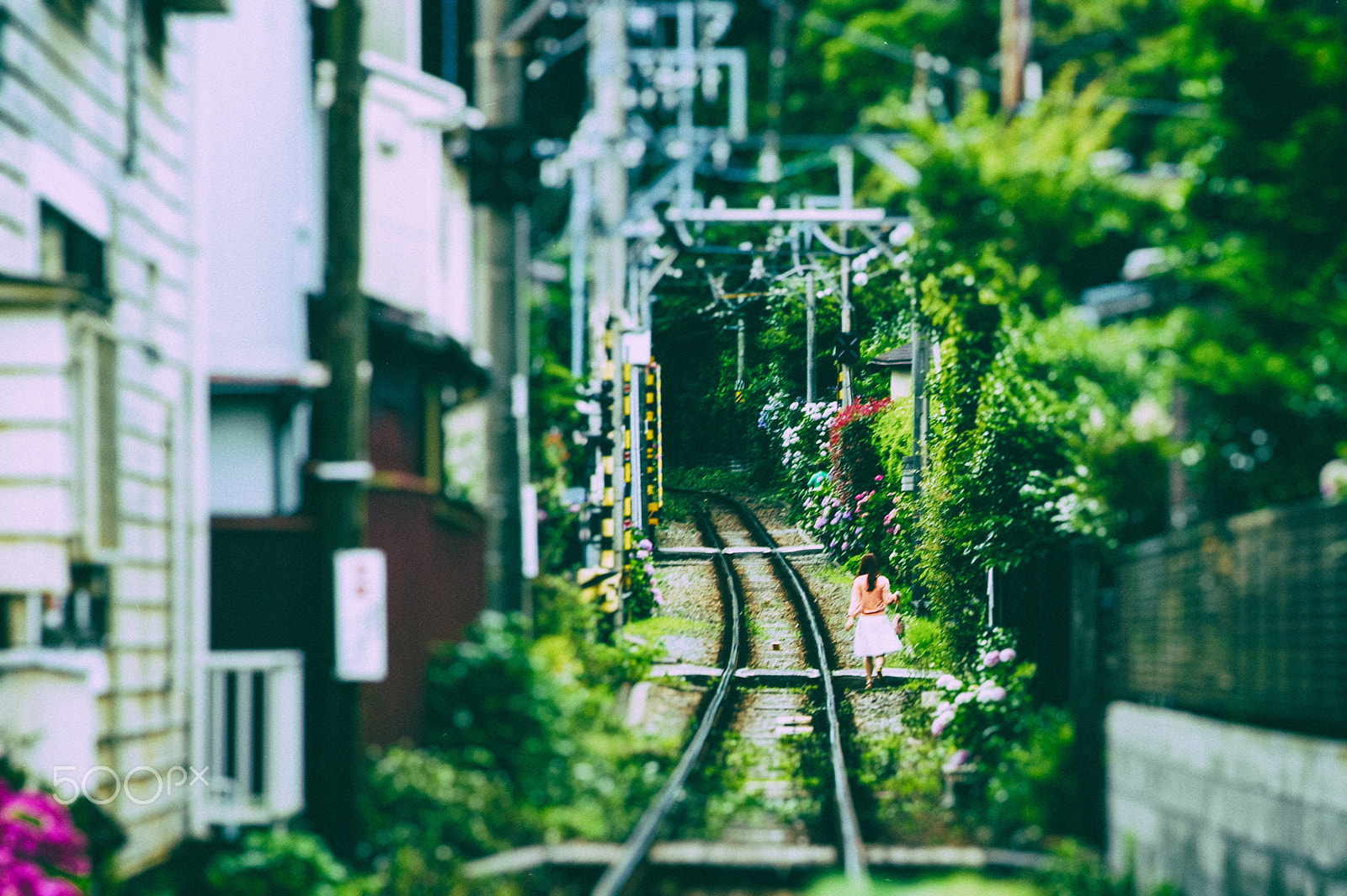Tamron AF 28-75mm F2.8 XR Di LD Aspherical (IF) sample photo. Kamakura photography