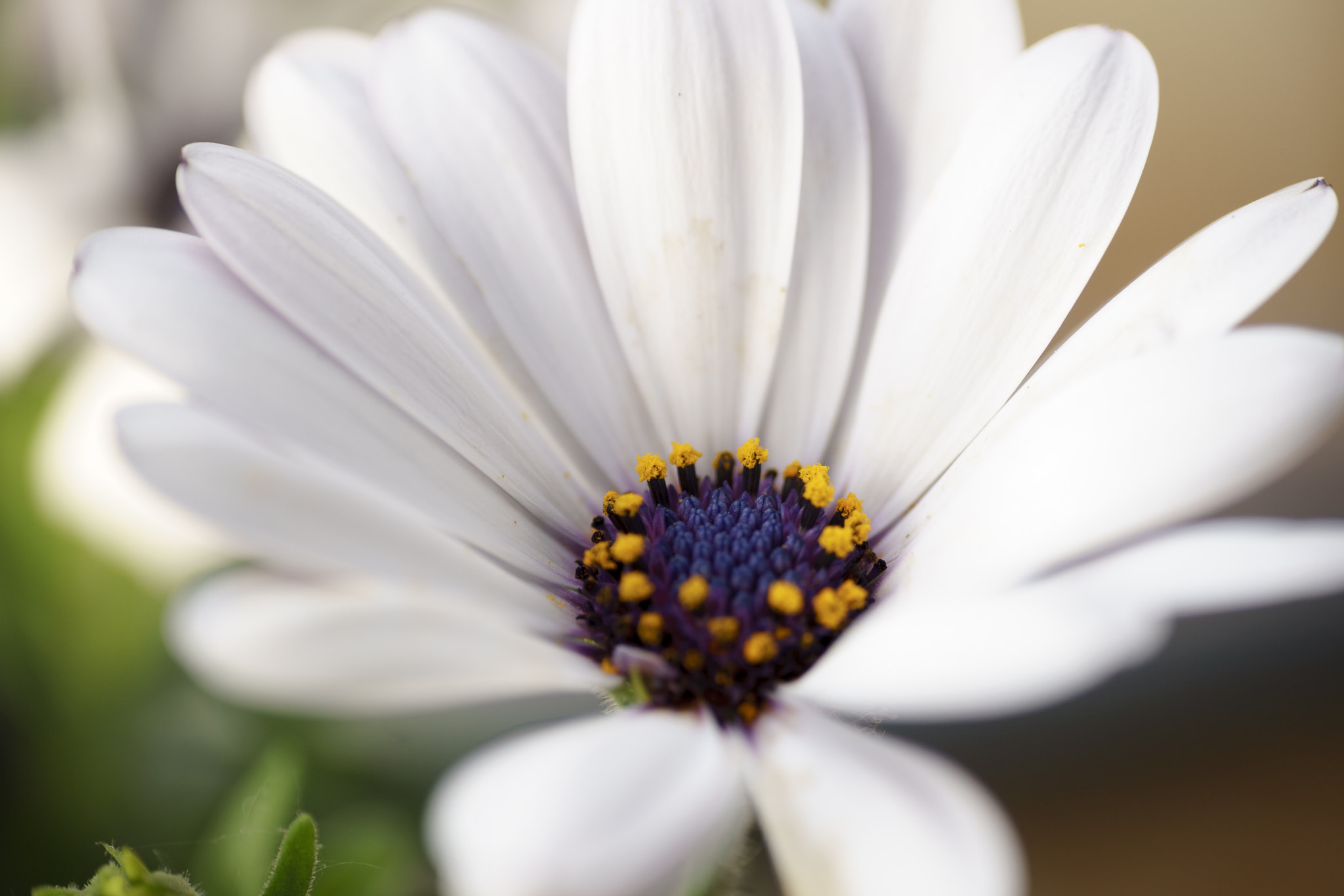 Tamron SP 70-300mm F4-5.6 Di USD sample photo. Balkons best photography