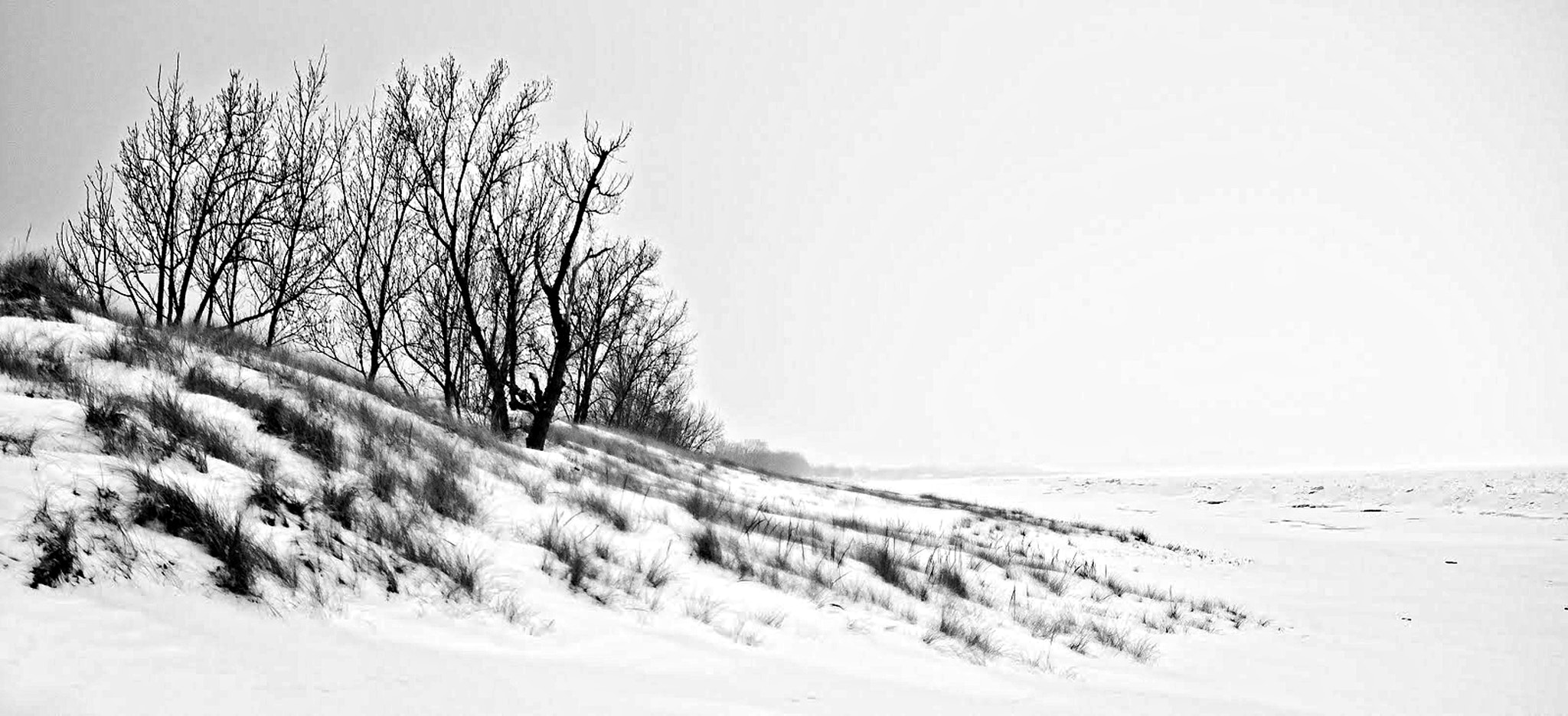 Nikon D200 + Sigma 50-150mm F2.8 EX APO DC HSM sample photo. Sand dunes - lake michigan photography