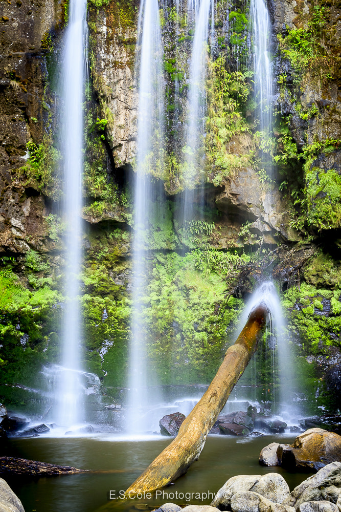 Canon EF 24mm F1.4L II USM sample photo. Hopeton falls© e s cole photography photography