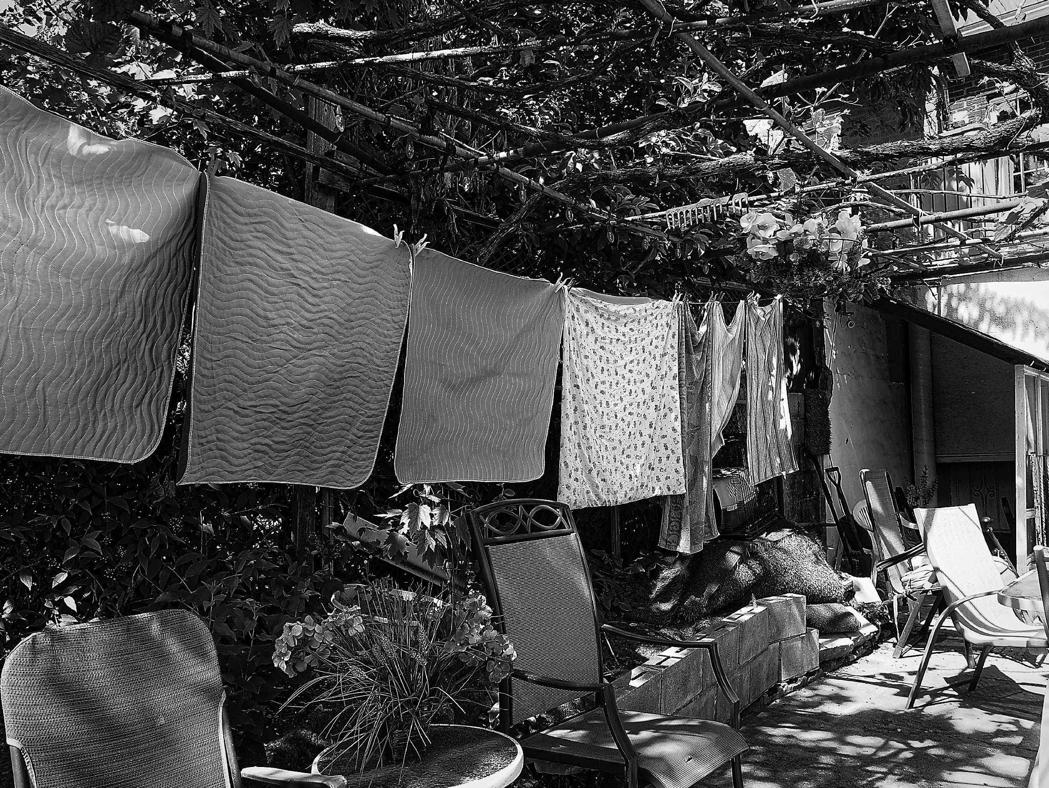 Panasonic Lumix DMC-GX1 + Panasonic Lumix G 14mm F2.5 ASPH sample photo. Laundry day photography