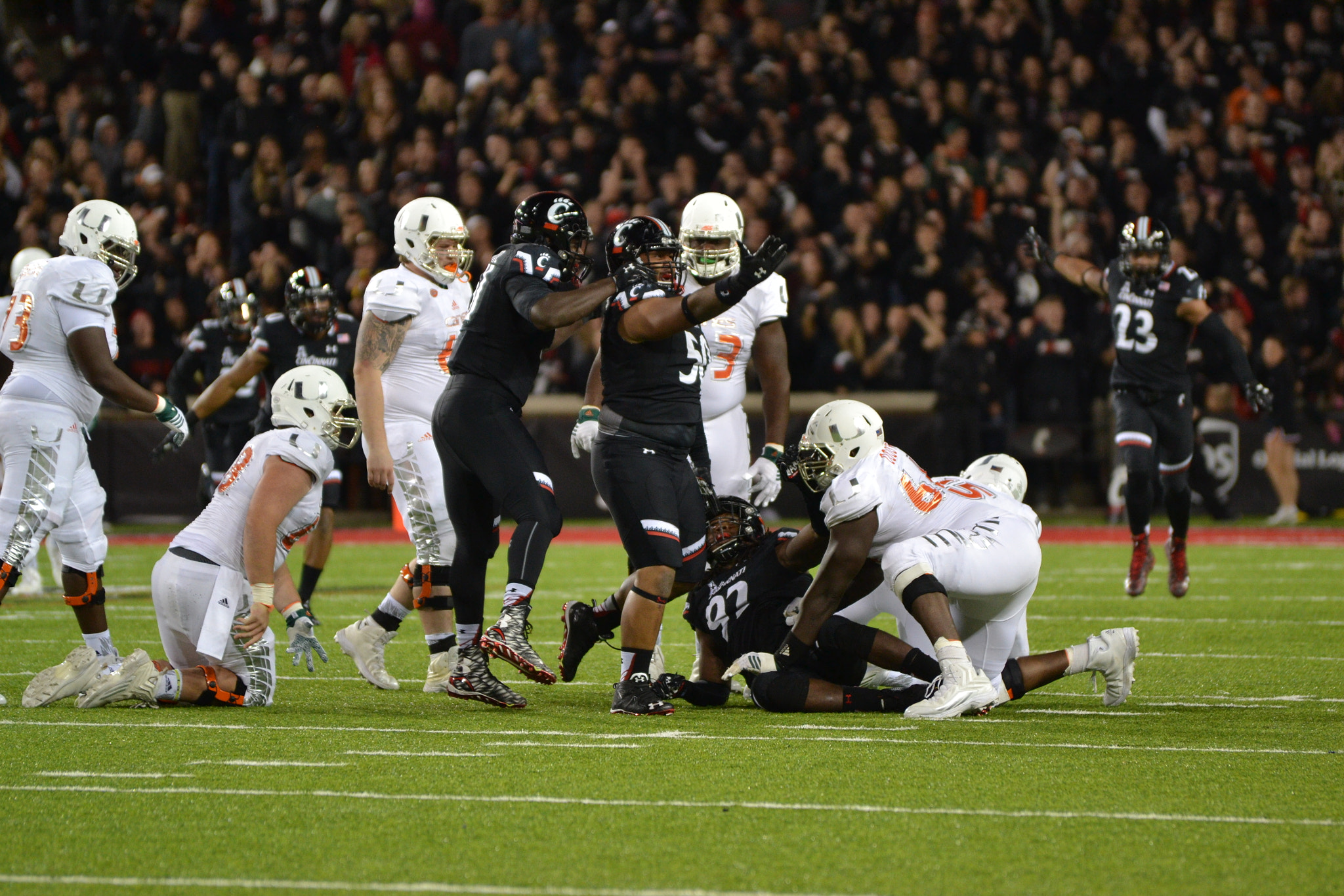 Nikon D3100 sample photo. Big tackle celebration photography