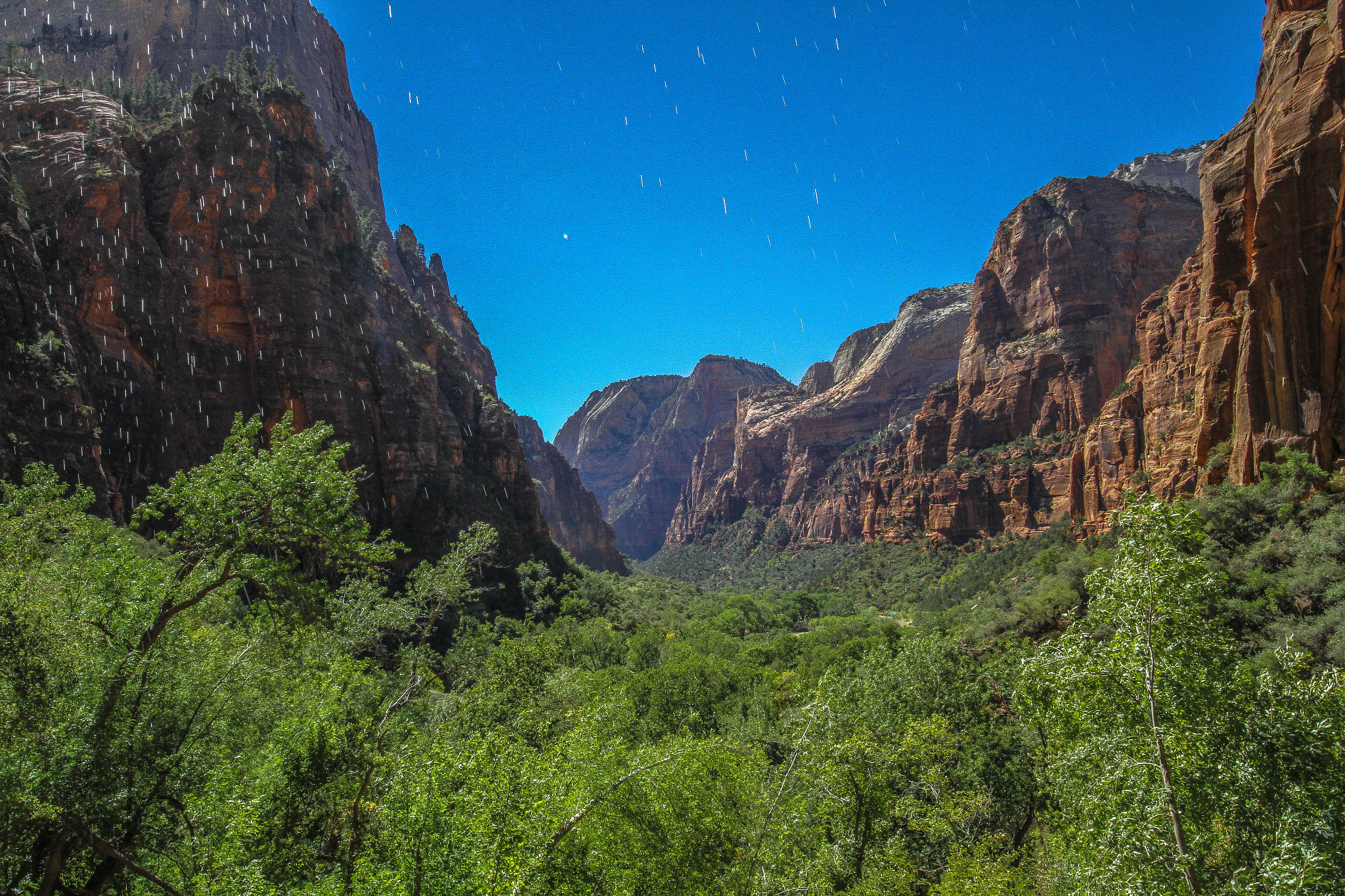 Sigma 8-16mm F4.5-5.6 DC HSM sample photo. Zion from under weeping rock photography