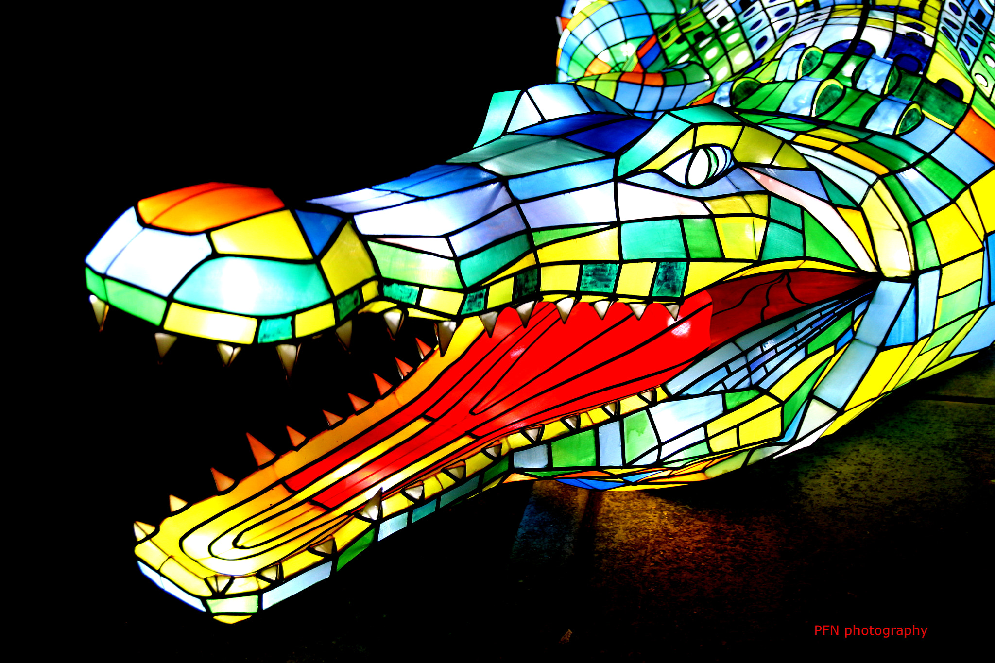 Canon EF-S 17-55mm F2.8 IS USM sample photo. Colourful croc photography