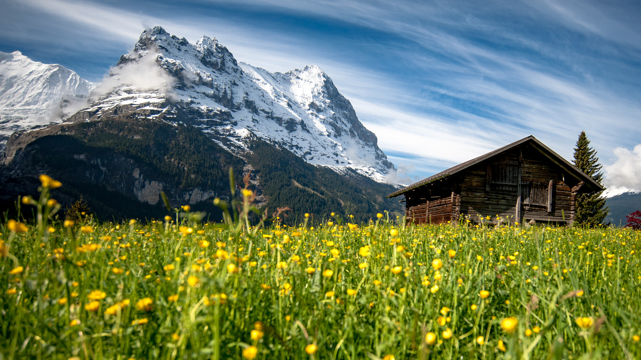 Nikon AF-S Nikkor 18-35mm F3.5-4.5G ED sample photo. View from grindelwald, switzerland photography