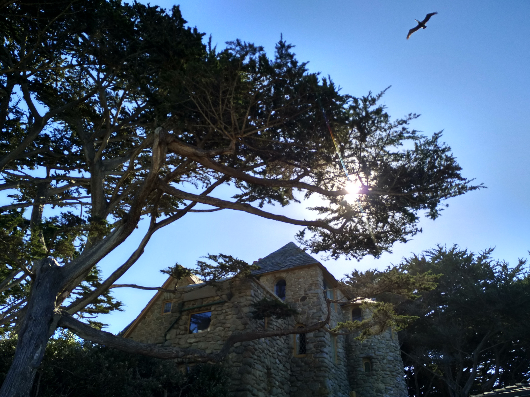 Xiaomi MI NOTE Pro sample photo. 海边 photography
