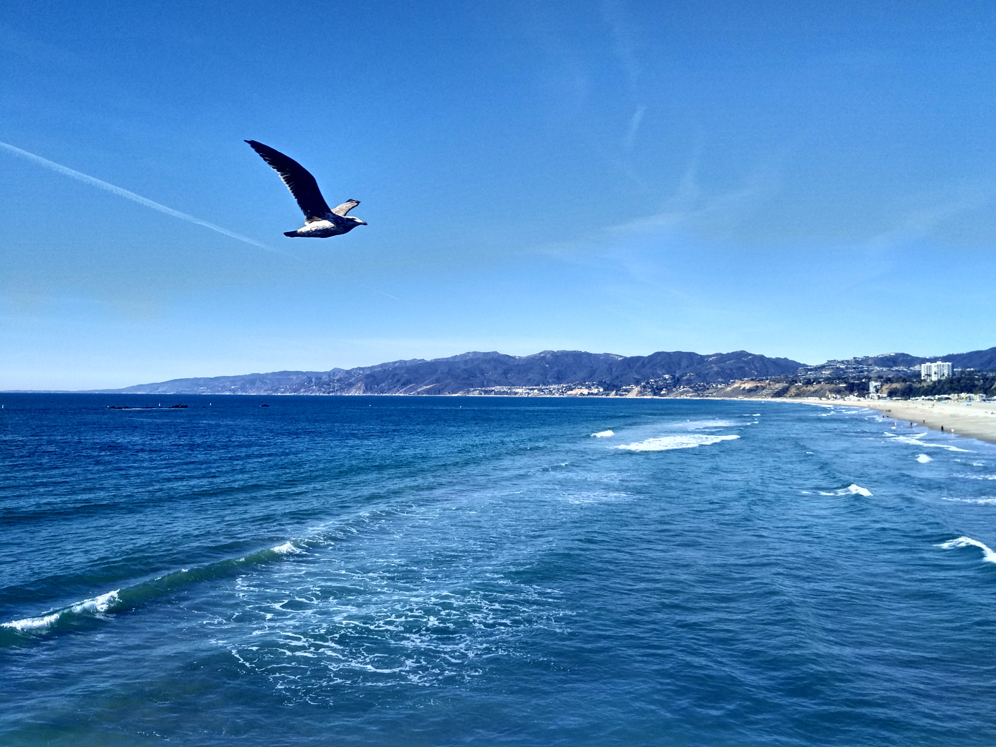 Xiaomi MI NOTE Pro sample photo. 飞翔 photography