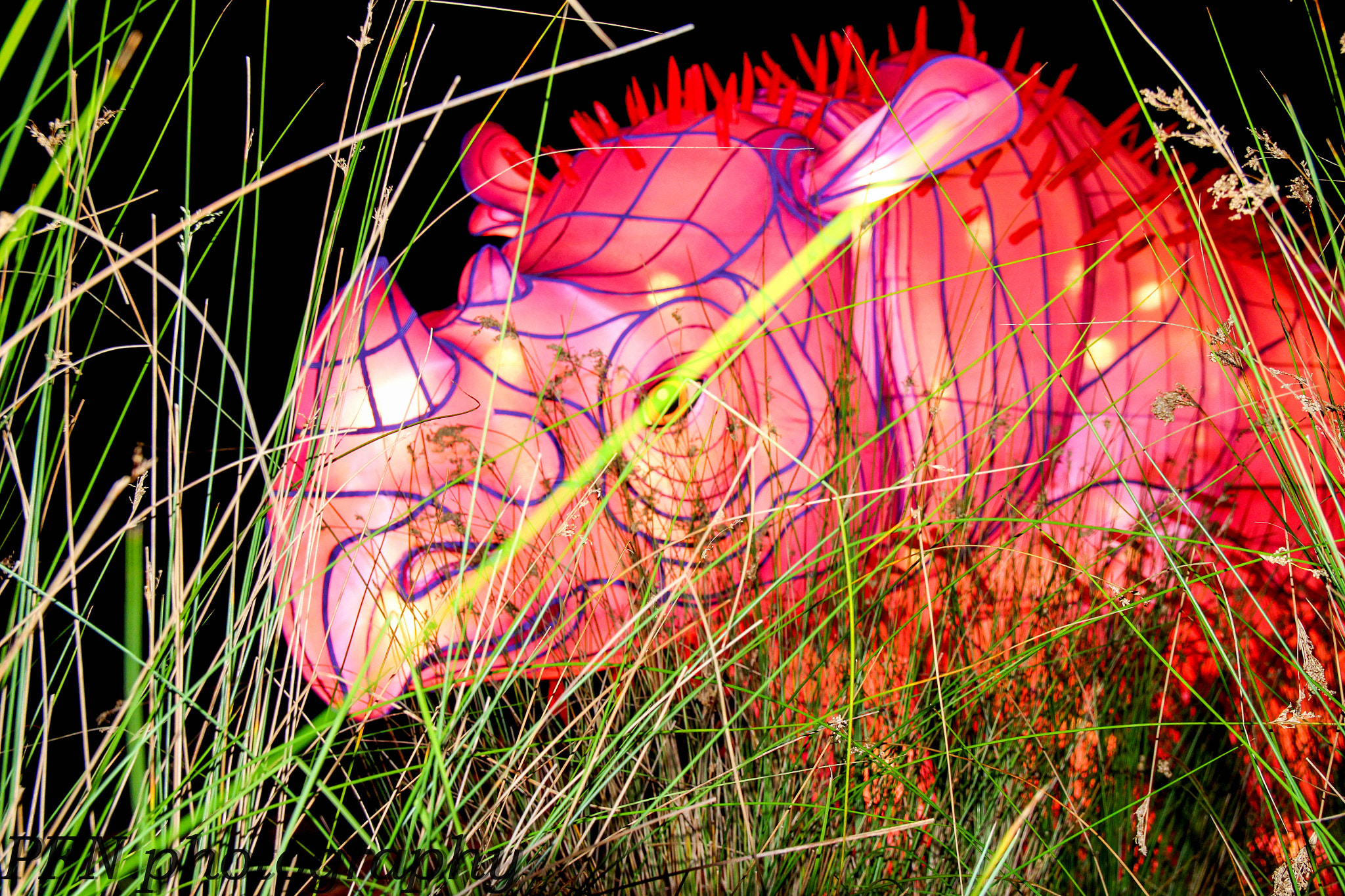 Canon EF-S 17-55mm F2.8 IS USM sample photo. Pink rhino photography
