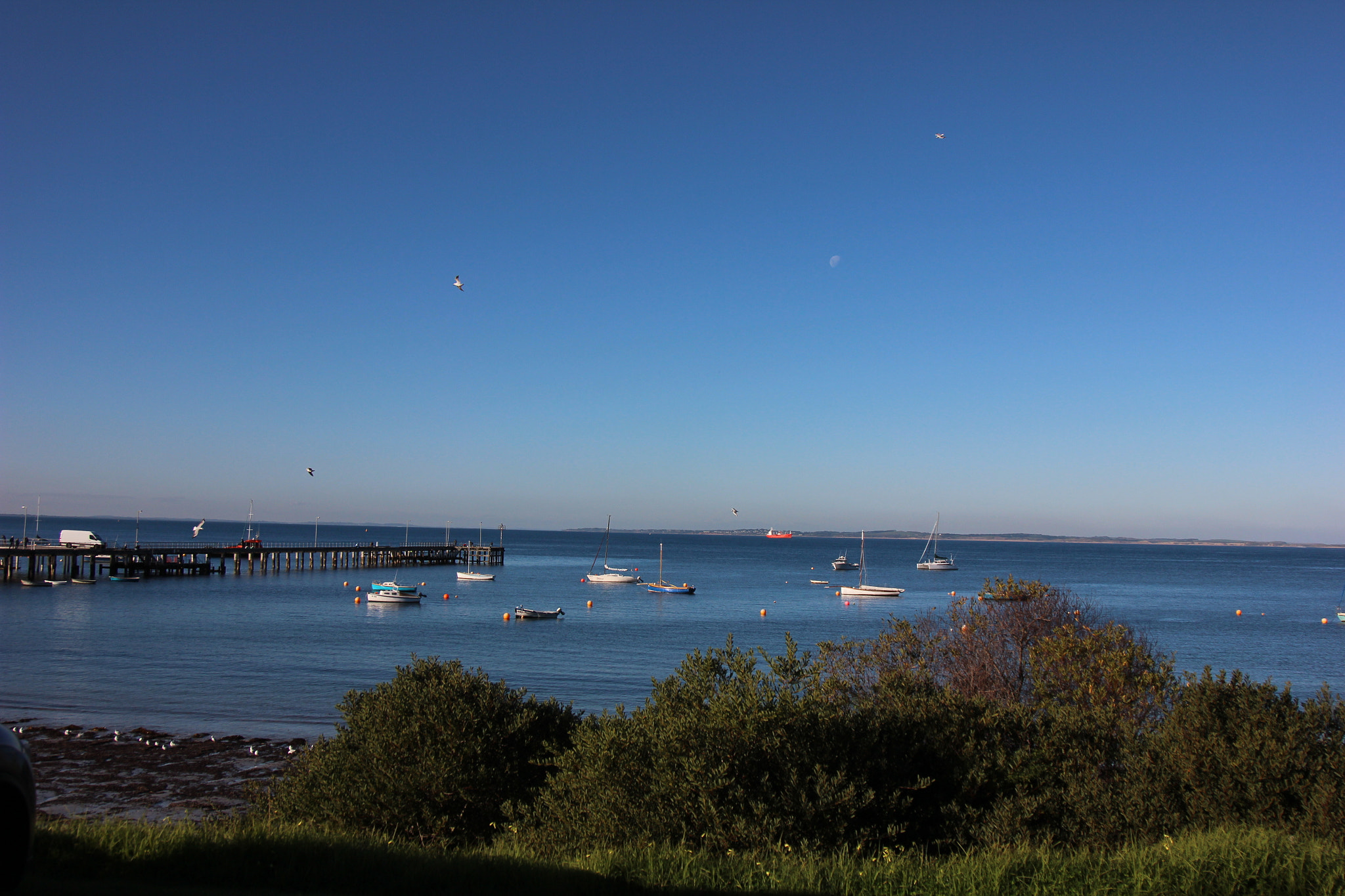 Canon EOS 600D (Rebel EOS T3i / EOS Kiss X5) sample photo. Flinders jetty, victoria photography