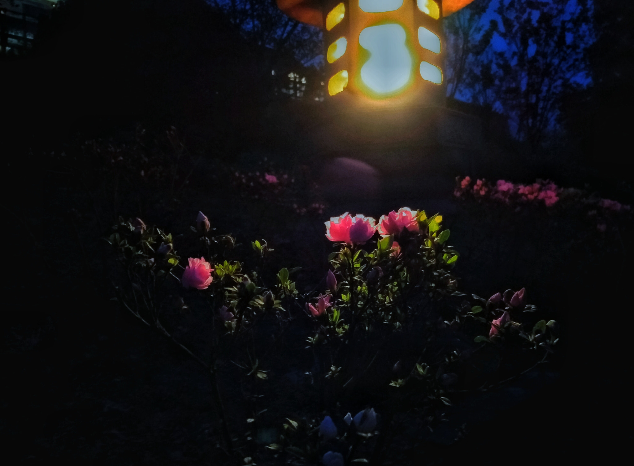 Xiaomi MI NOTE Pro sample photo. 光色 photography
