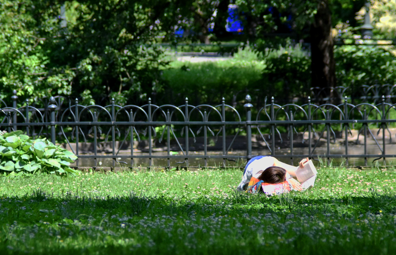Manual Lens No CPU sample photo. Green reading room photography