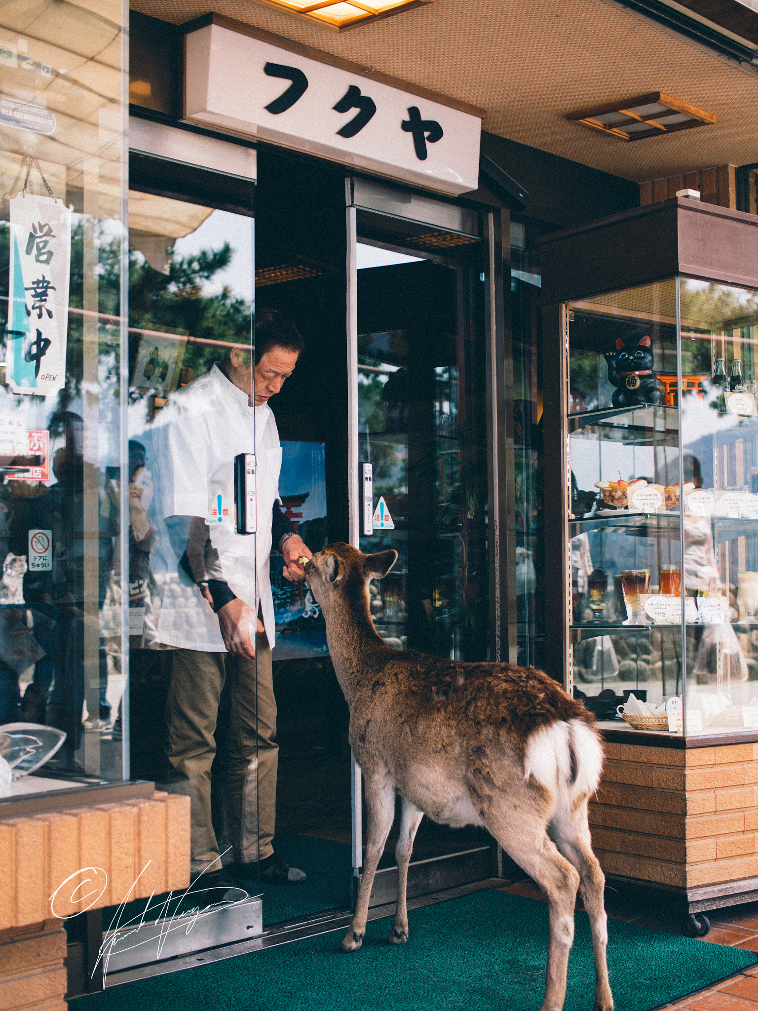 Olympus M.Zuiko Digital 25mm F1.8 sample photo. Shrine island's deer customers photography