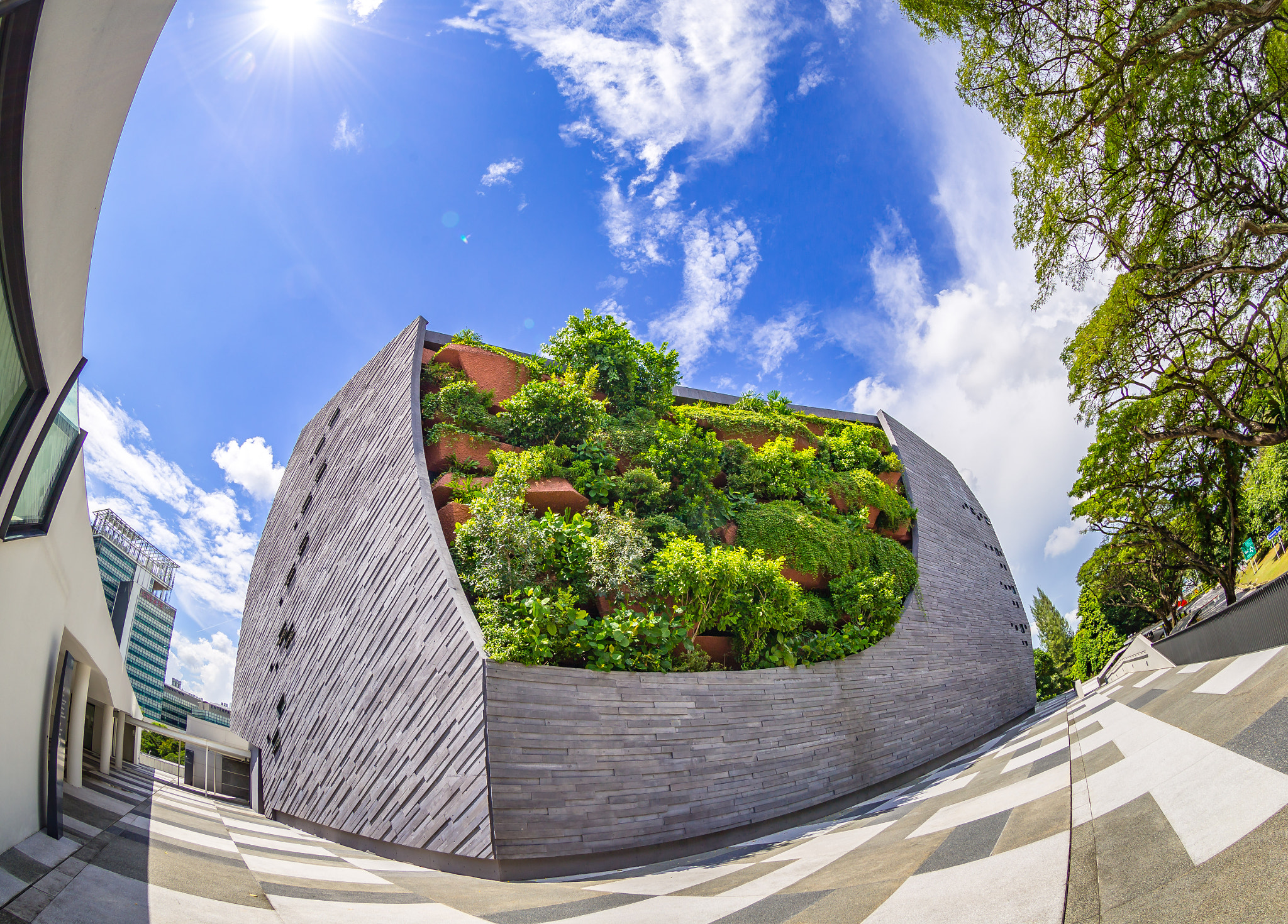 Canon EF 8-15mm F4L Fisheye USM sample photo. Lee kong chian natural history museum photography