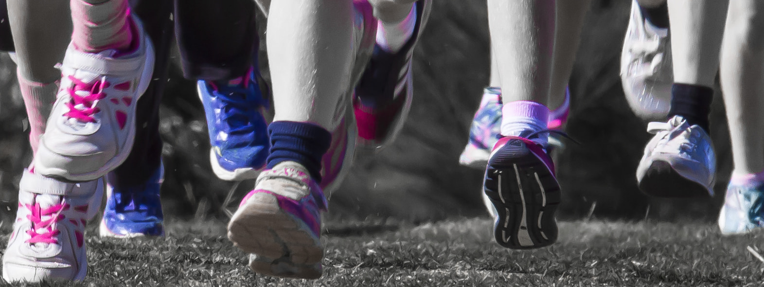 Canon EF 70-200mm F4L IS USM sample photo. Thundering feet photography