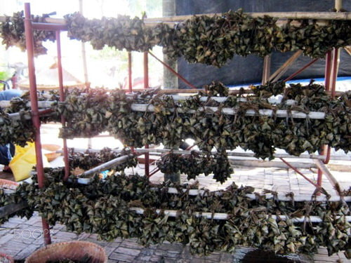 Canon PowerShot A490 sample photo. Du lịch hsef photography