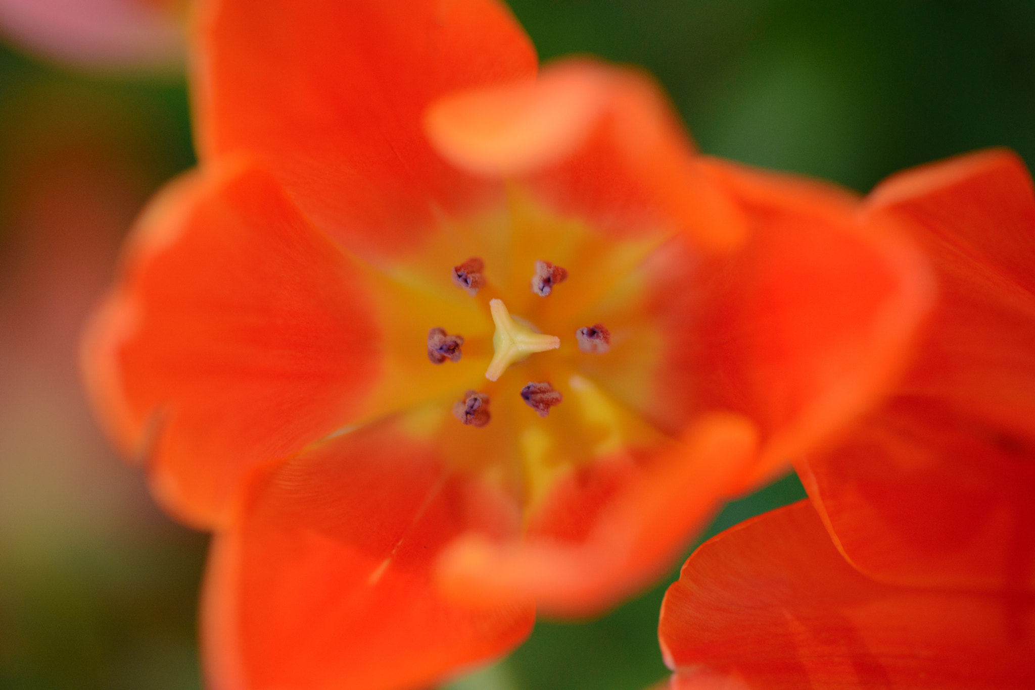 Nikon D600 sample photo. Vivid photography