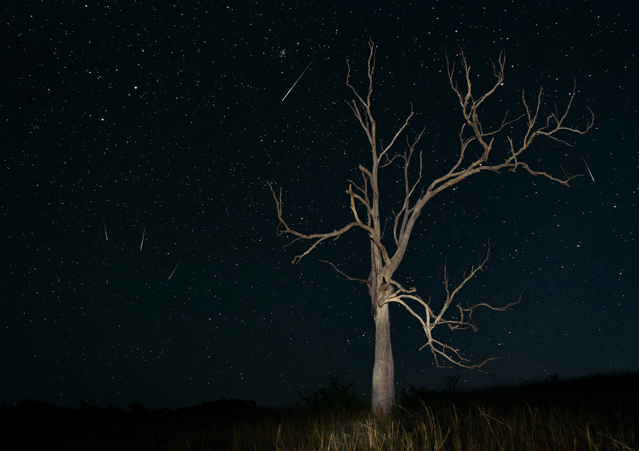 PENTAX-F 28-80mm F3.5-4.5 sample photo. Leonid meteor shower (18/11/2015) photography