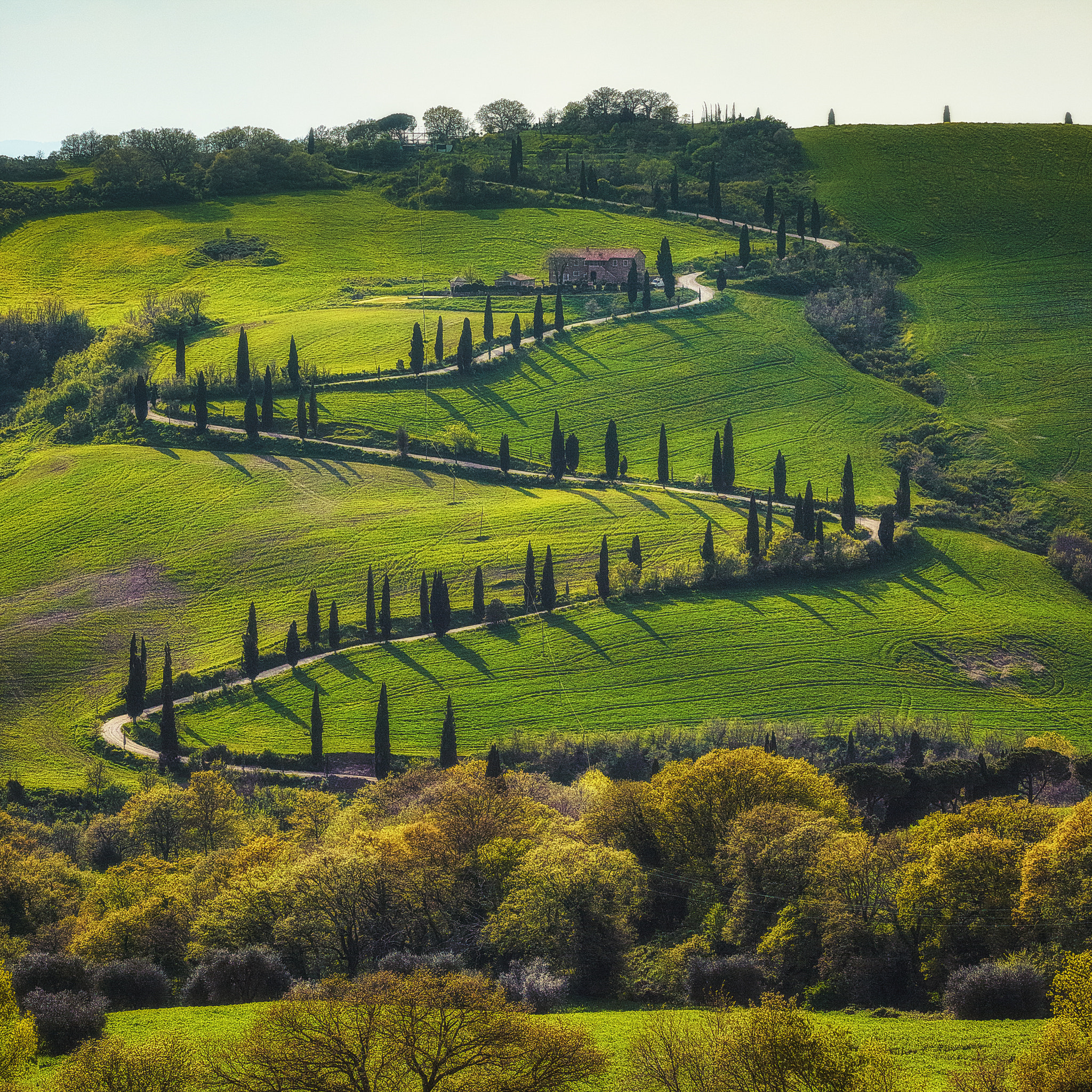 Phase One IQ180 + Schneider LS 150mm f/3.5 sample photo. Tuscany zickzack photography