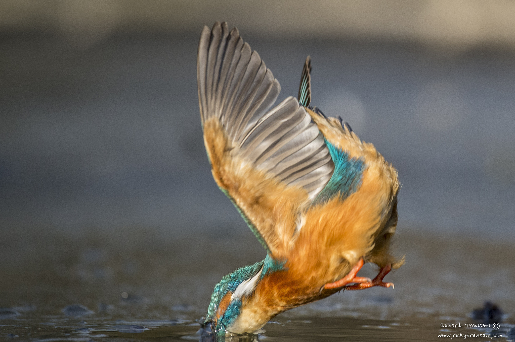 Nikon AF-S Nikkor 70-200mm F4G ED VR sample photo. Carpe diem photography