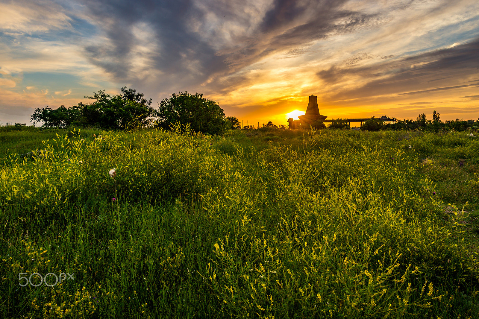 Sony a99 II + Tamron SP 24-70mm F2.8 Di VC USD sample photo. *** photography