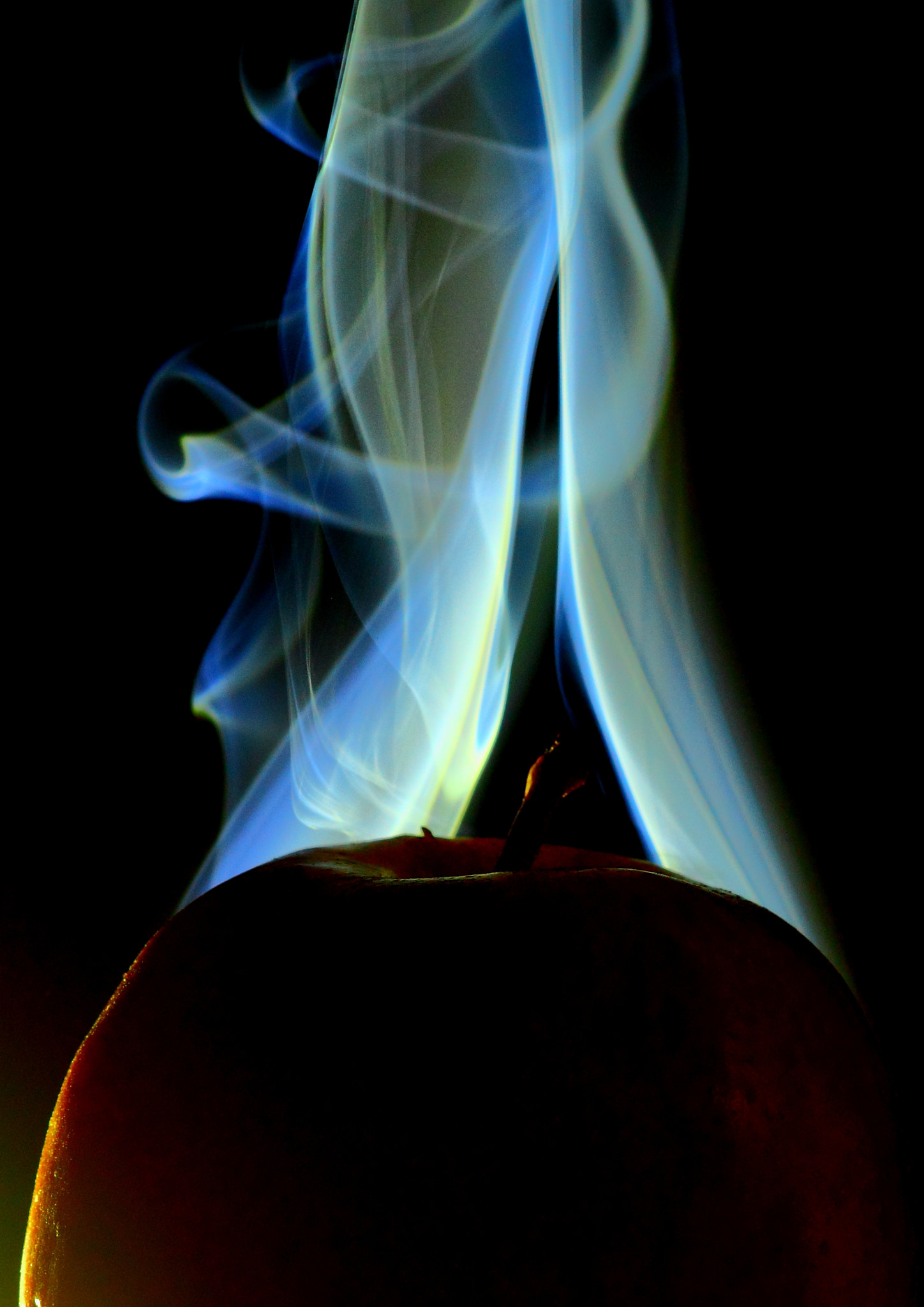 Canon EF 100mm F2.8 Macro USM sample photo. The apple, the apple, the apple is on fire! photography