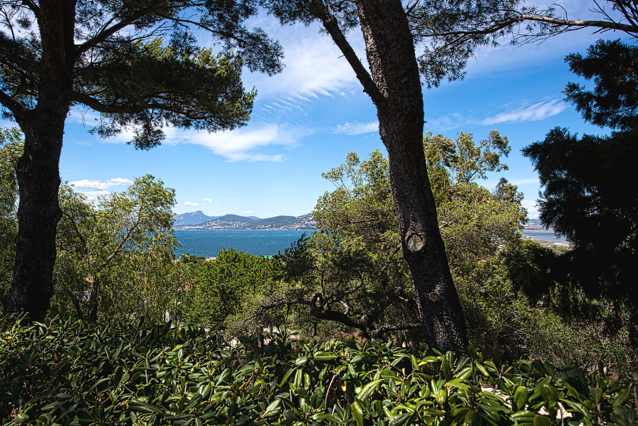 Nikon D810 + Nikon AF Micro-Nikkor 200mm F4D ED-IF sample photo. French riviera photography