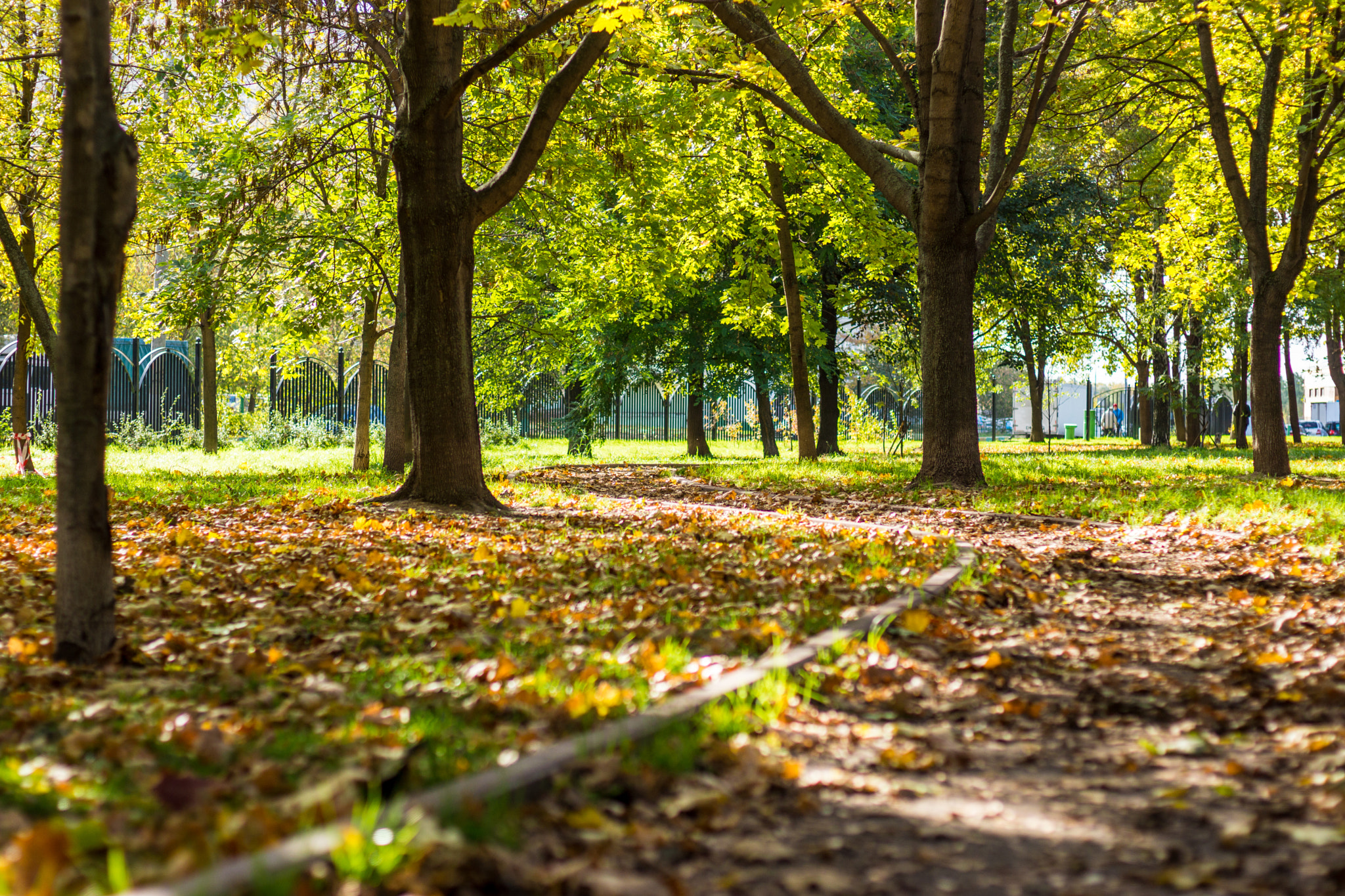 Sony SLT-A77 + Sony 50mm F1.4 sample photo. Autumn photography