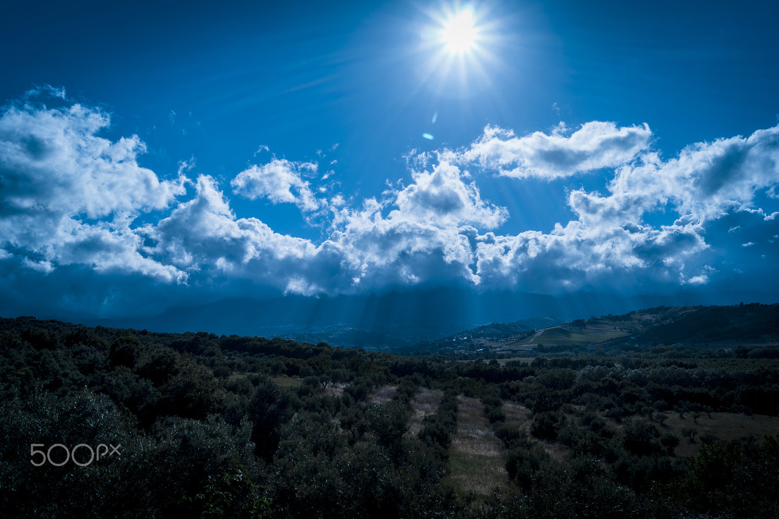 Sony SLT-A68 sample photo. Sun watch me! photography