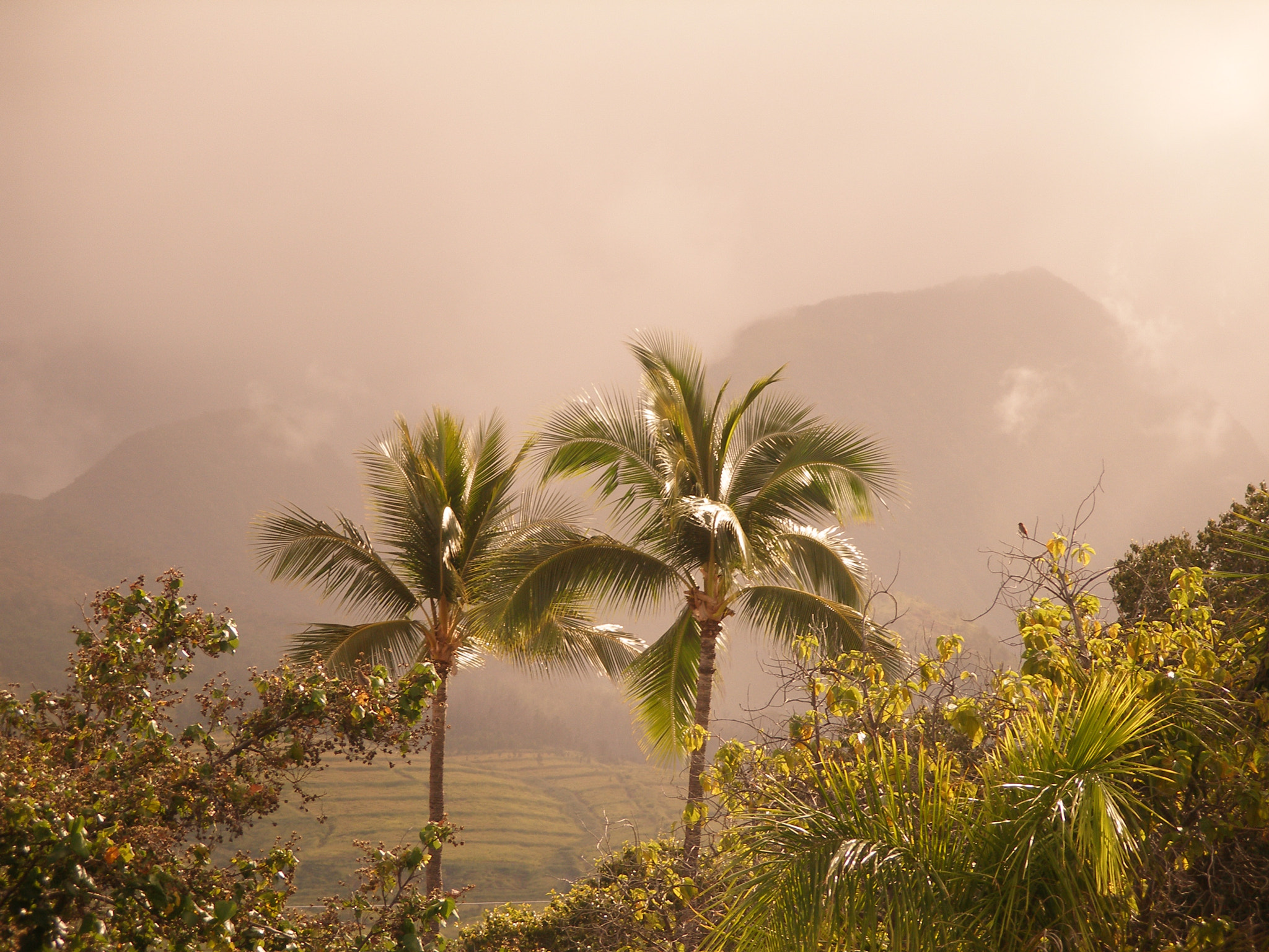 Olympus C70Z,C7000Z sample photo. Lahaina landscape. photography