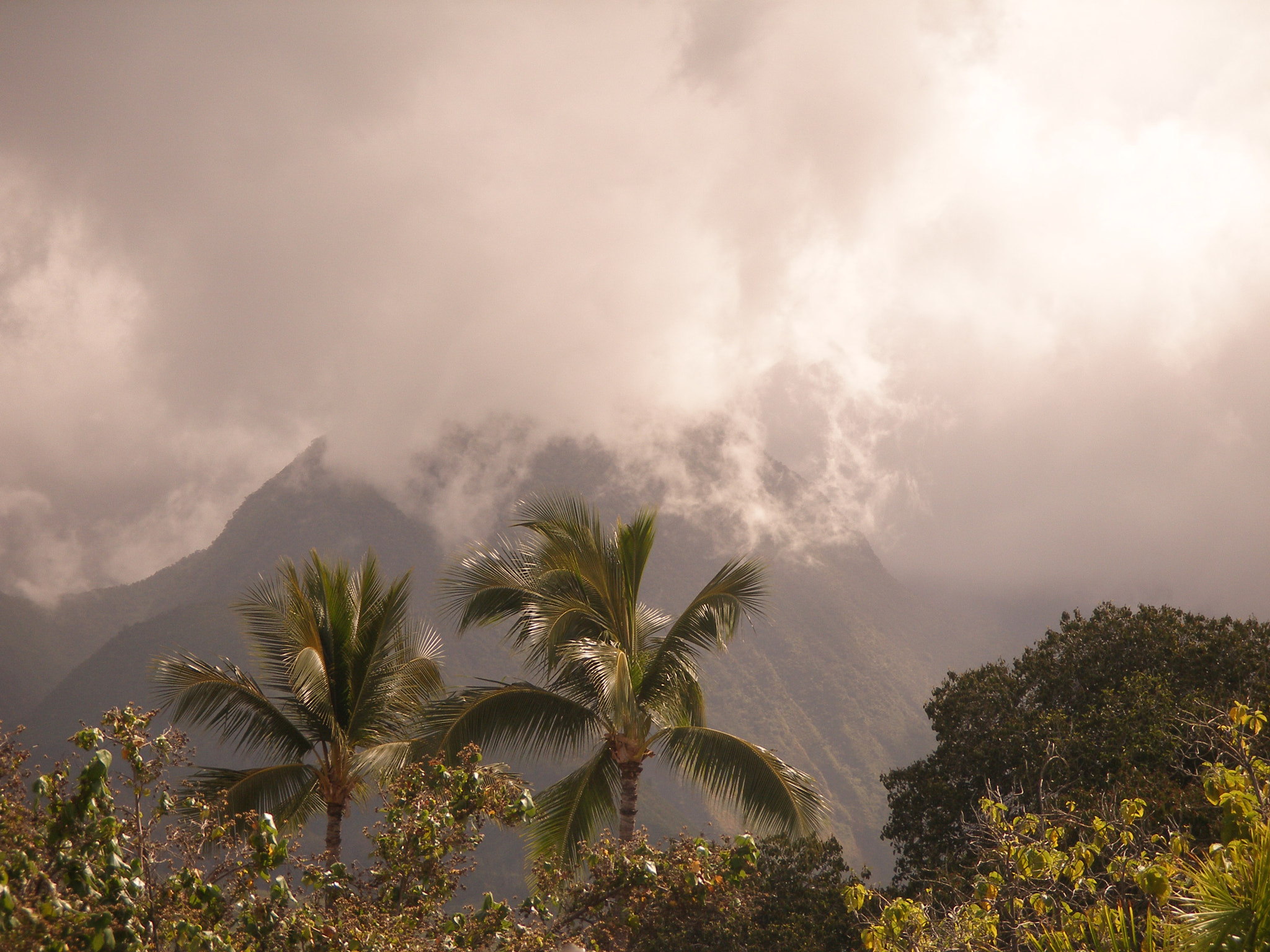 Olympus C70Z,C7000Z sample photo. Hawaii. photography