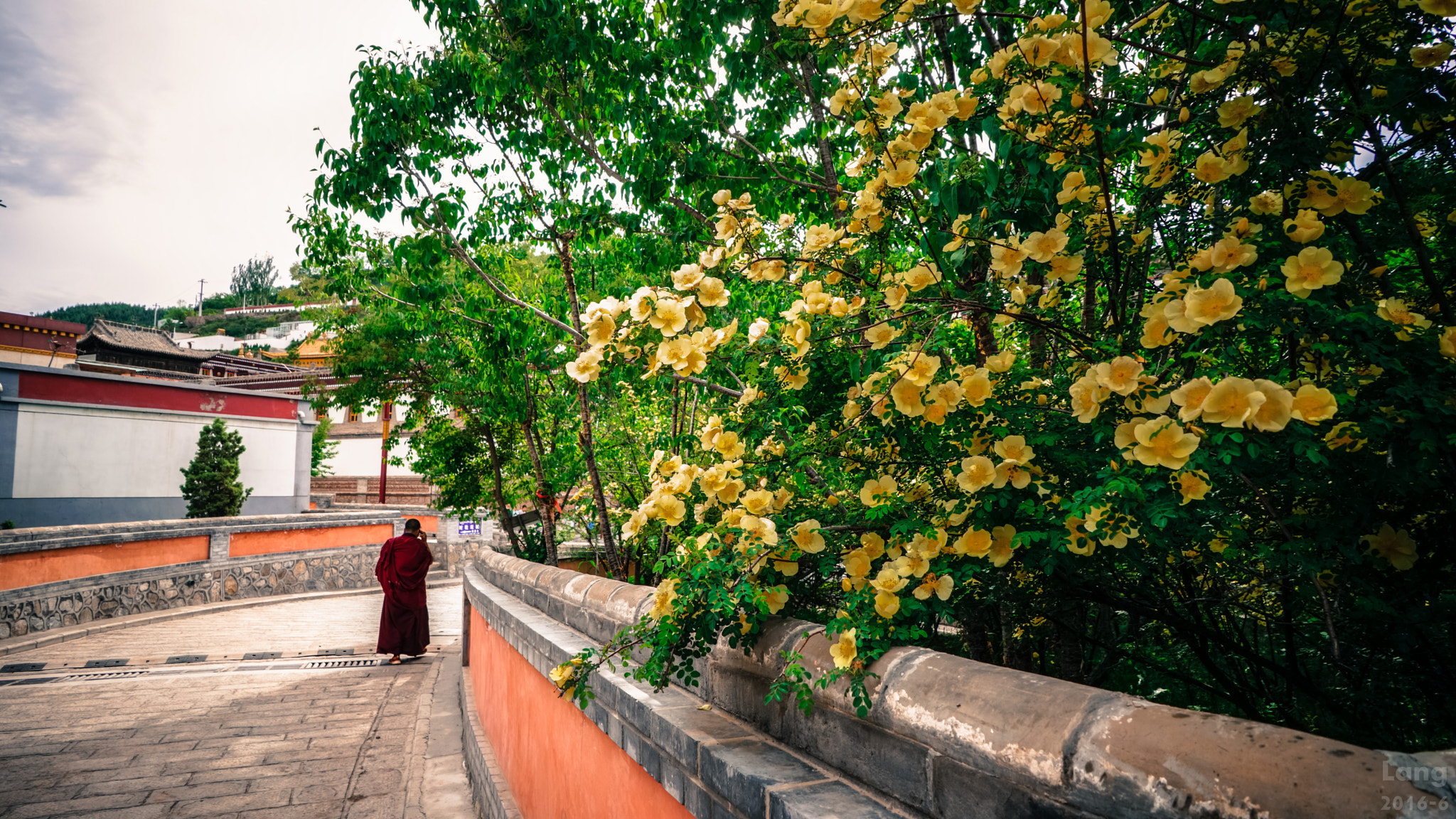 Sony a7 + FE 21mm F2.8 sample photo. 塔尔寺 photography