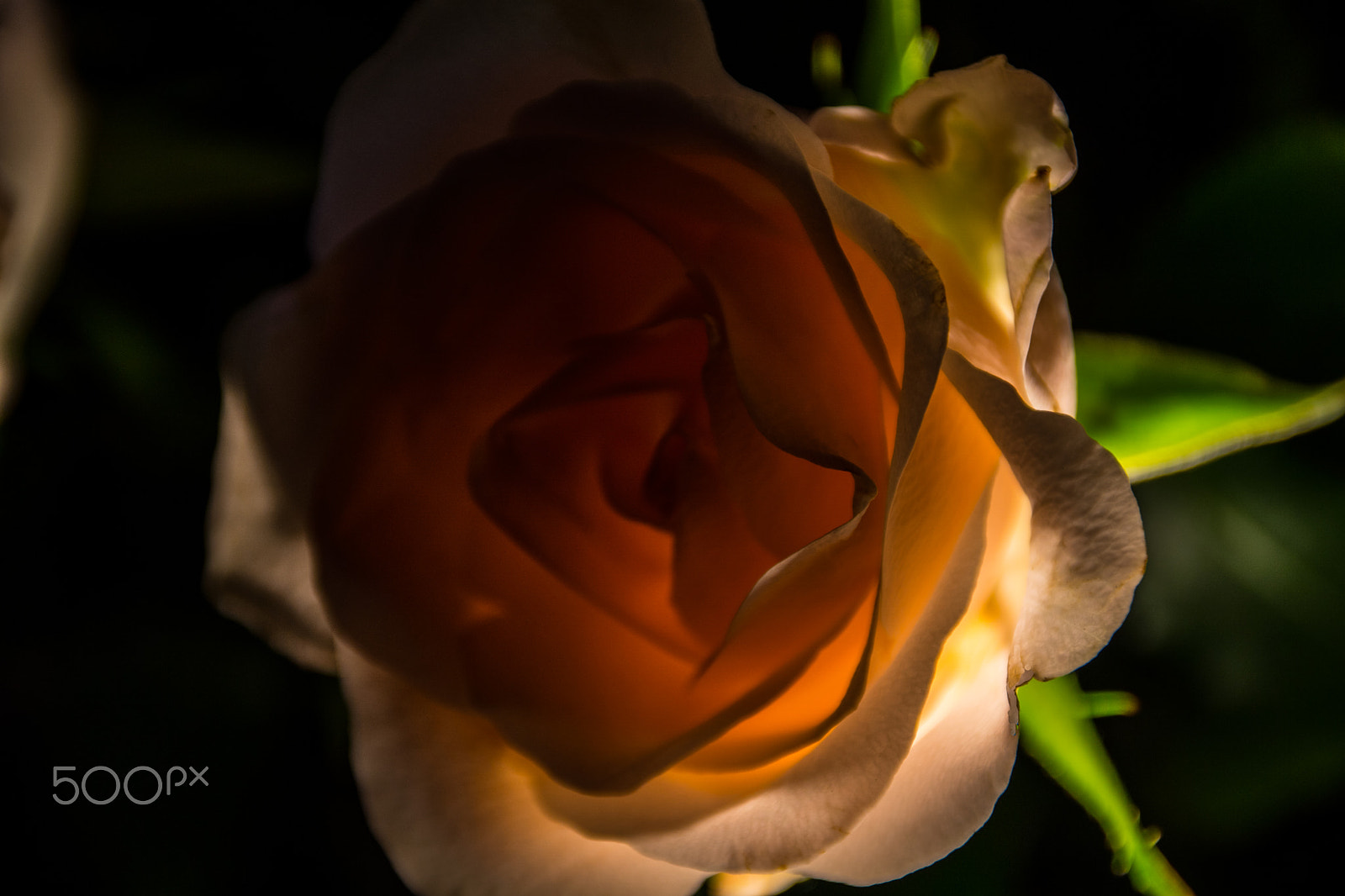 Sony ILCA-77M2 + DT 18-300mm F3.5-6.3 sample photo