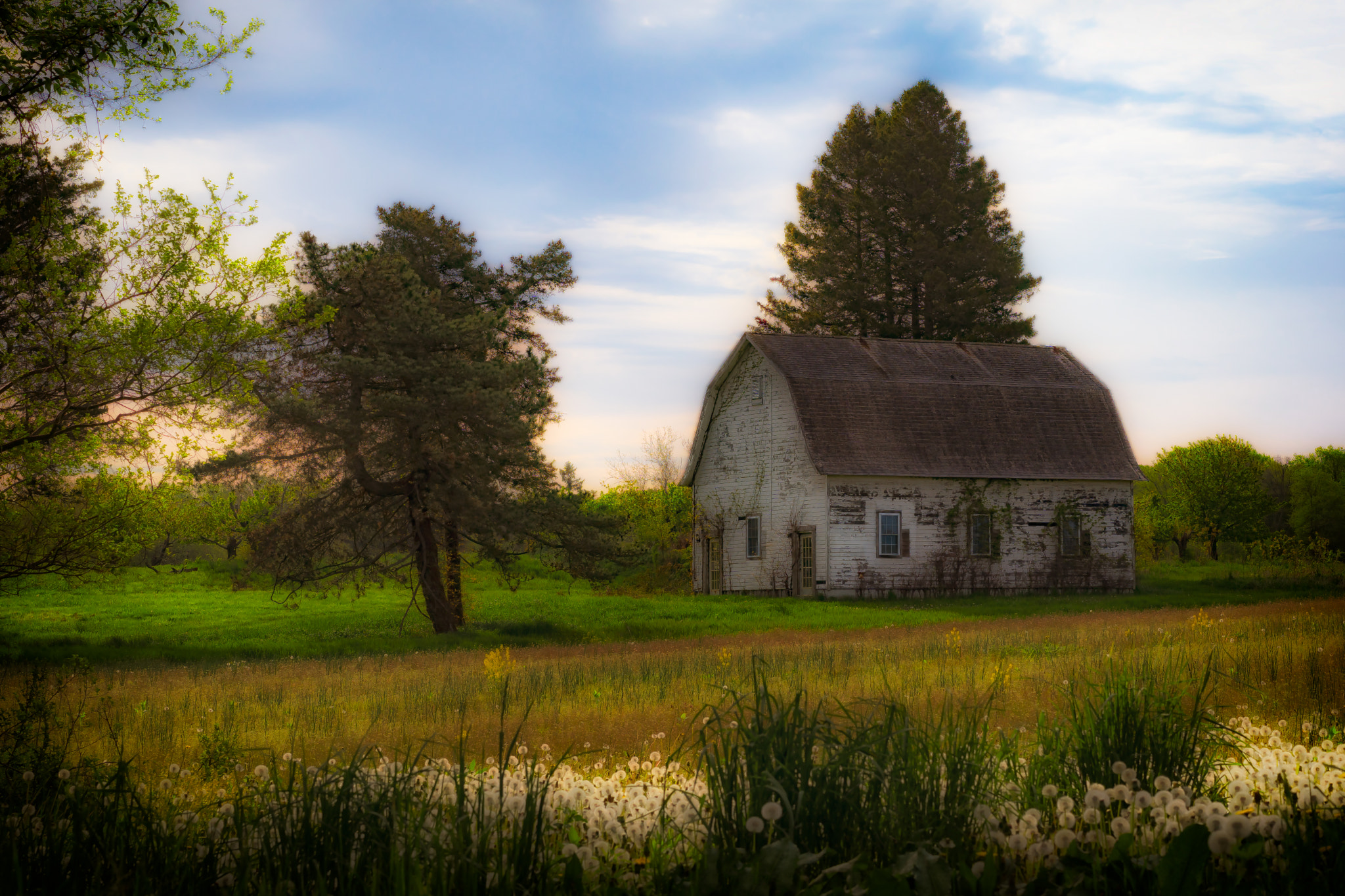 Sony a6300 + Sony Sonnar T* FE 55mm F1.8 ZA sample photo. Summer on the farm, the dutch barn photography