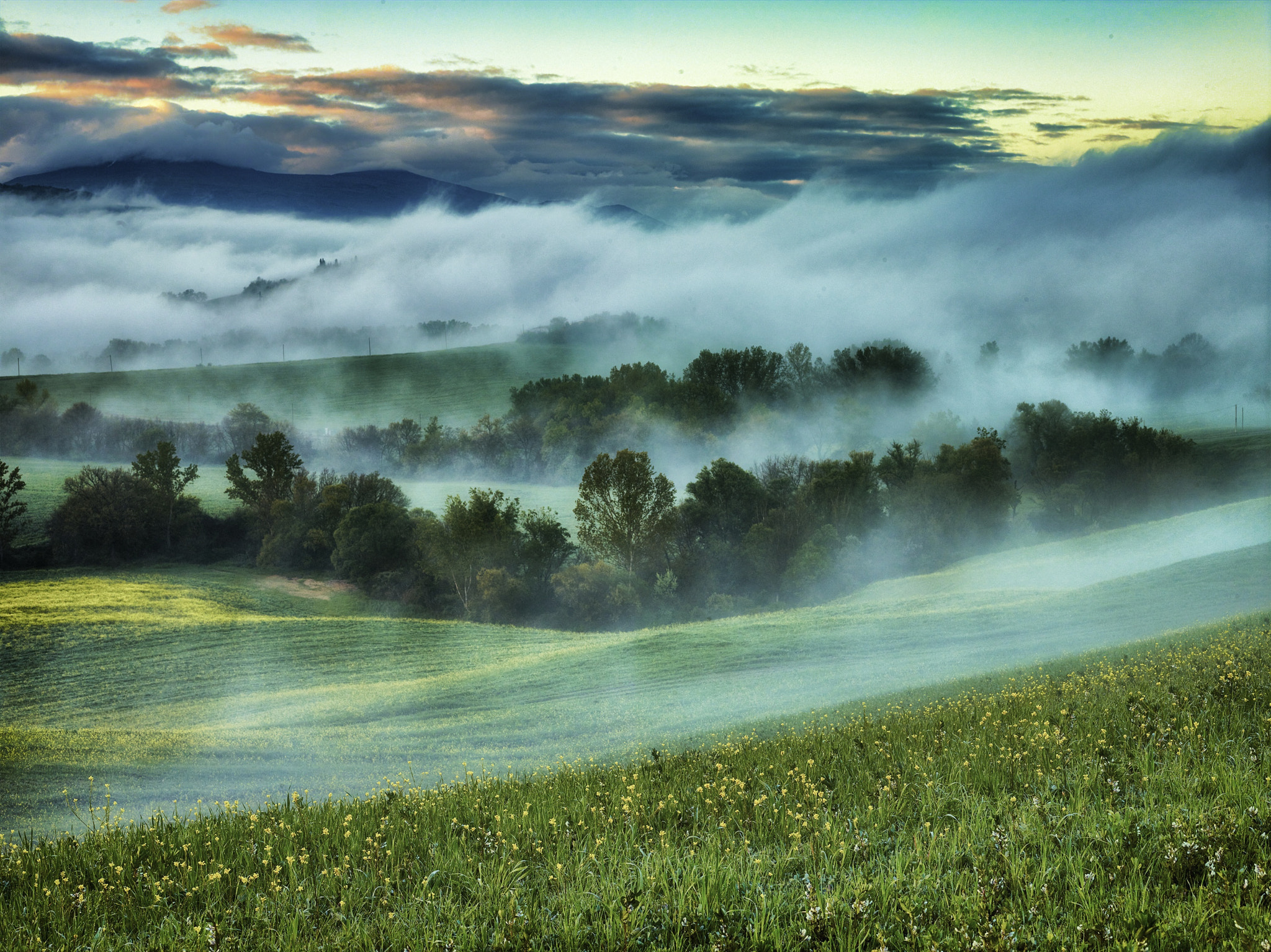 Phase One IQ160 sample photo. Fog in the hills of tuscany photography