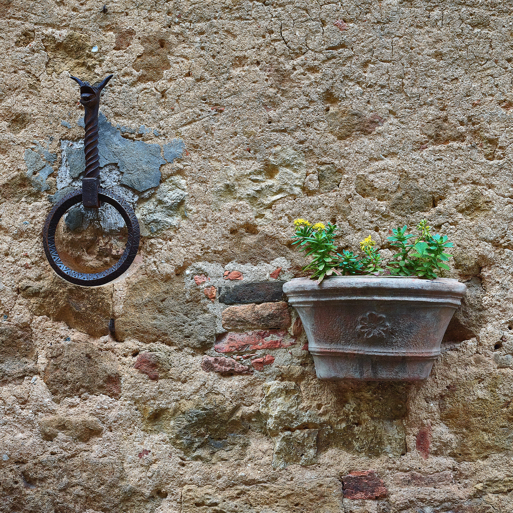 Phase One IQ180 + Schneider LS 80mm f/2.8 sample photo. Tuscany still life in pienza photography