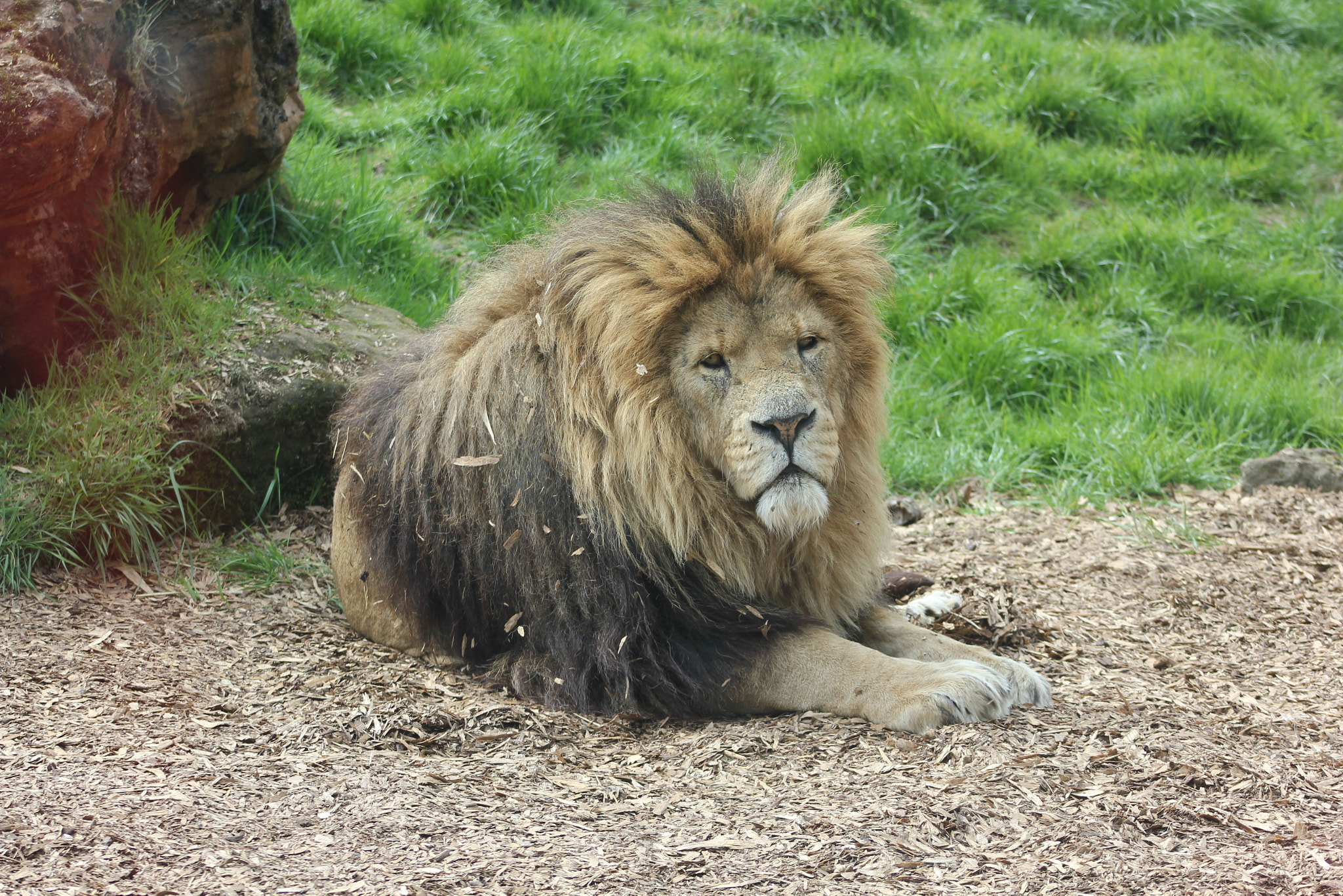Canon EF 135mm F2.8 SF sample photo. Was quite happy as it taken though glass photography
