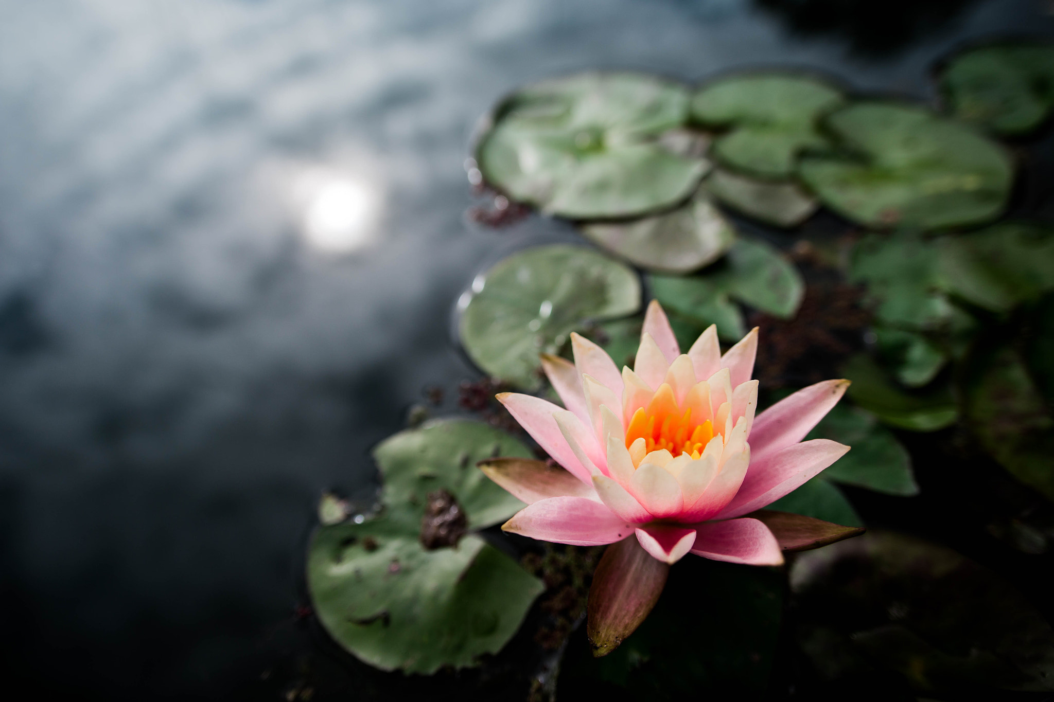Sigma 20mm EX f/1.8 sample photo