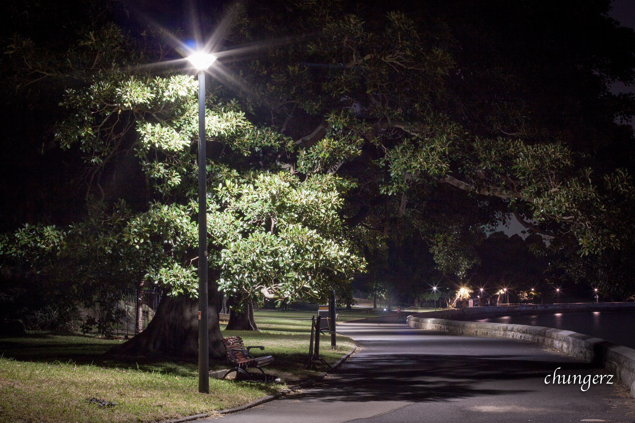 Canon EOS 50D + Canon EF 50mm F1.4 USM sample photo. Night garden photography