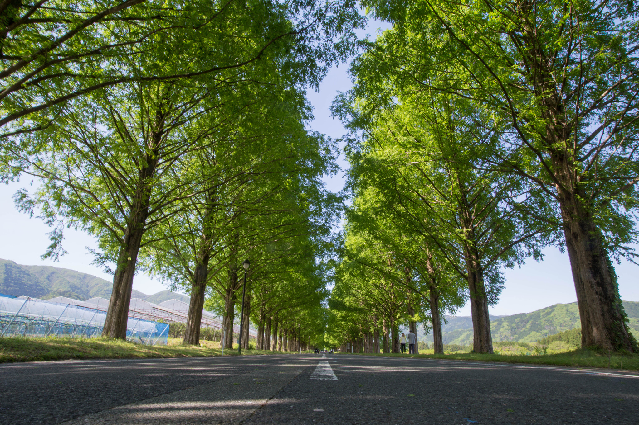 Sigma 20mm EX f/1.8 sample photo