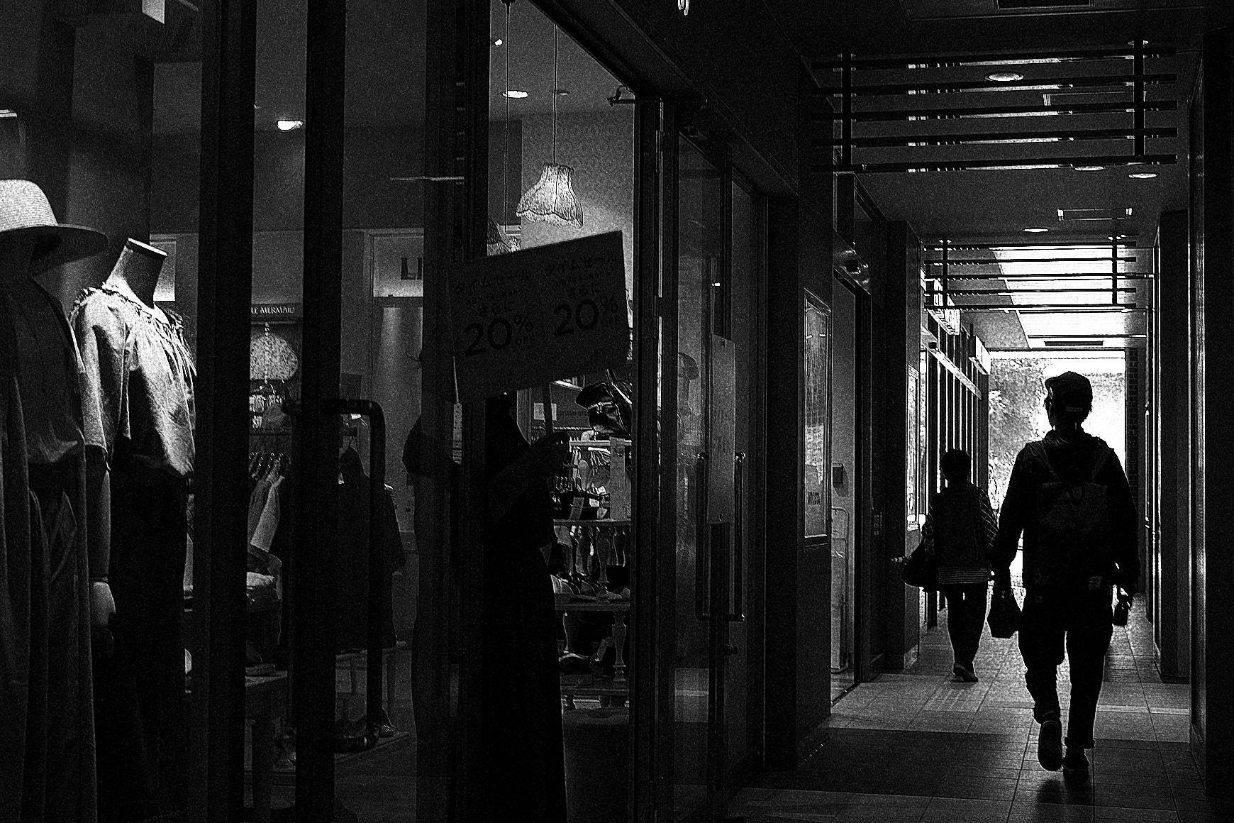 Fujifilm X-A1 sample photo. Passer photography