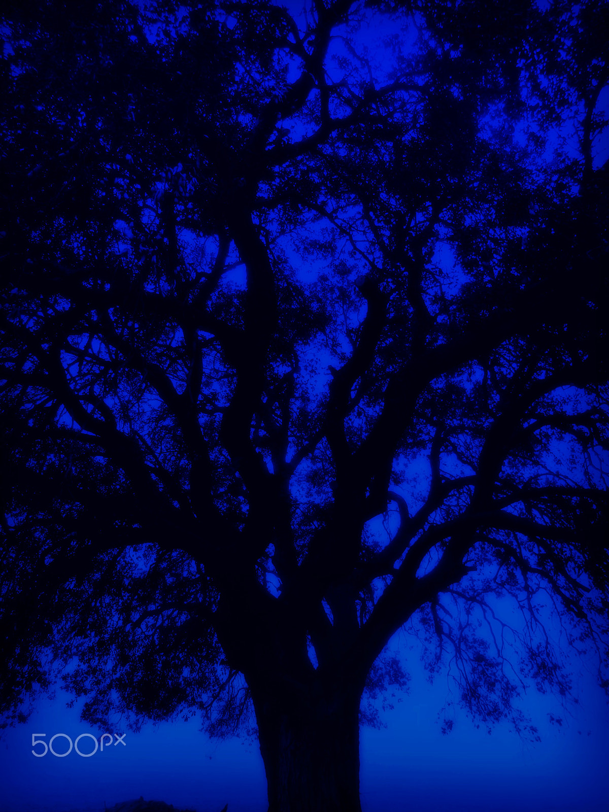 Olympus SZ-12 sample photo. In the shadows of blue photography
