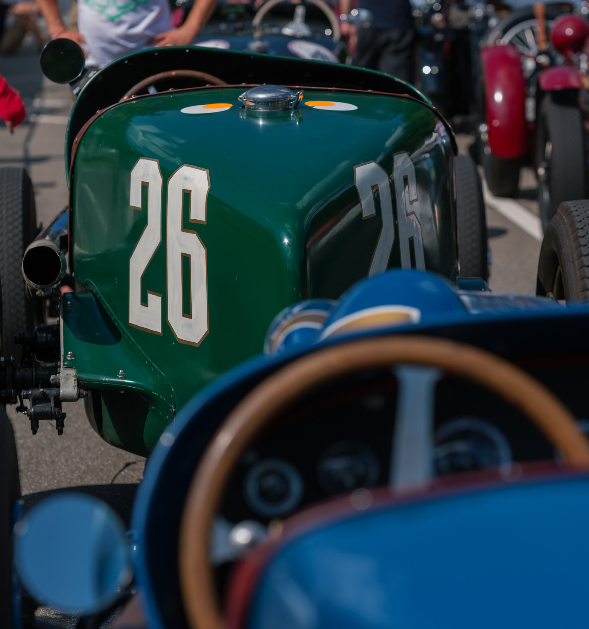 Sony Alpha DSLR-A850 + Minolta/Sony AF 70-200mm F2.8 G sample photo. It's a numbers game! - photo quest photography