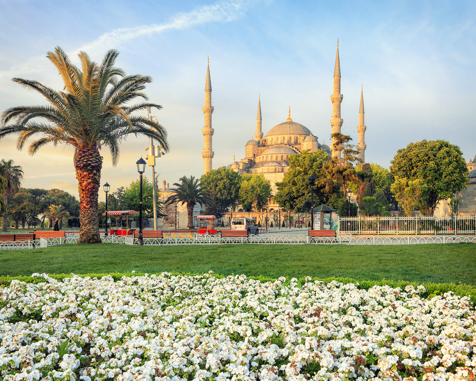 Canon TS-E 24.0mm f/3.5 L II sample photo. Blue mosque, istanbul, turkey photography