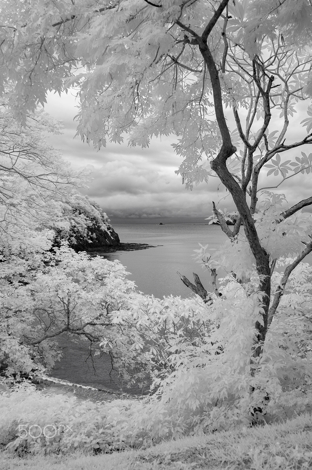 Nikon D300S sample photo. Rain on the horizon photography